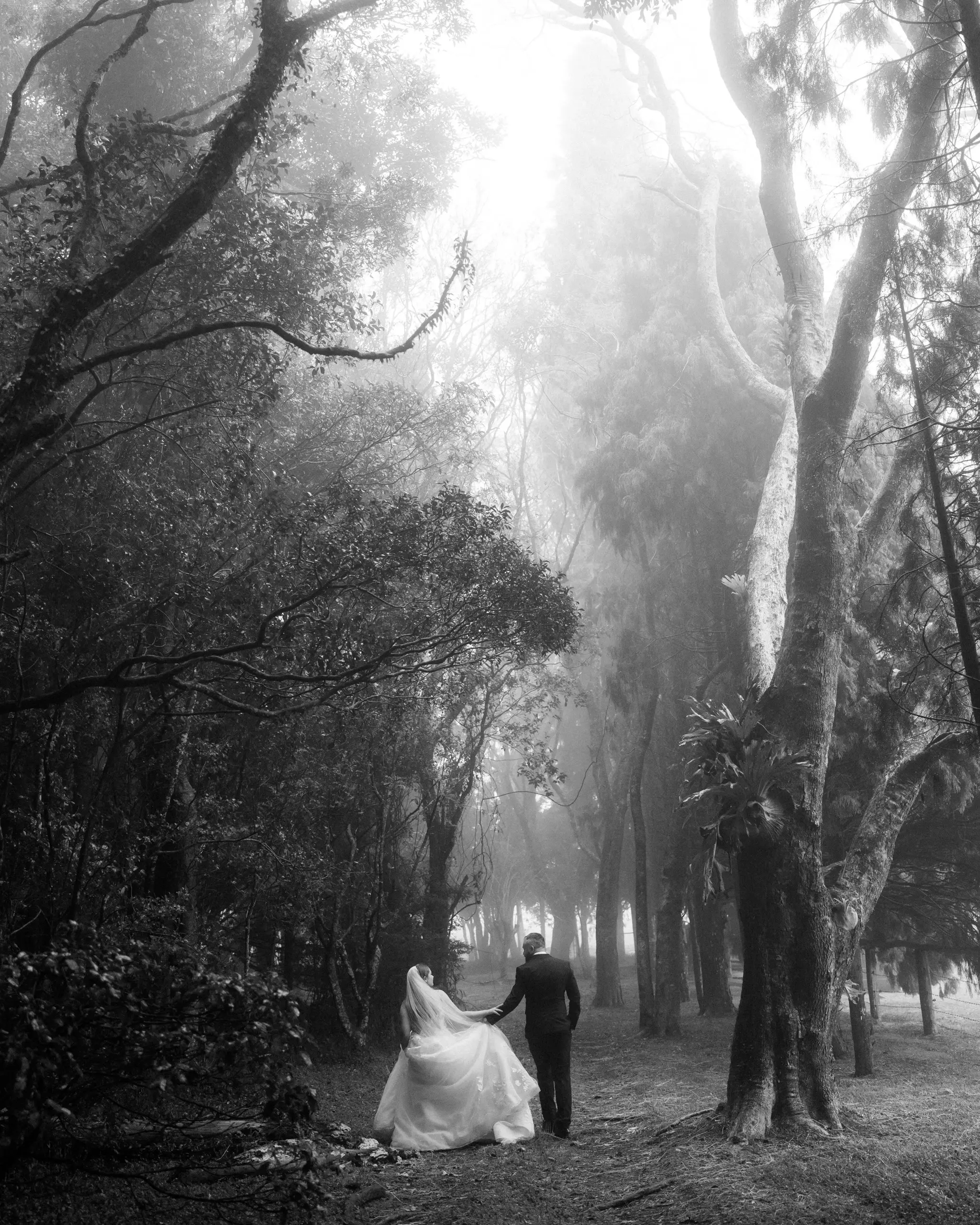 Bride and groom walking into misty forest