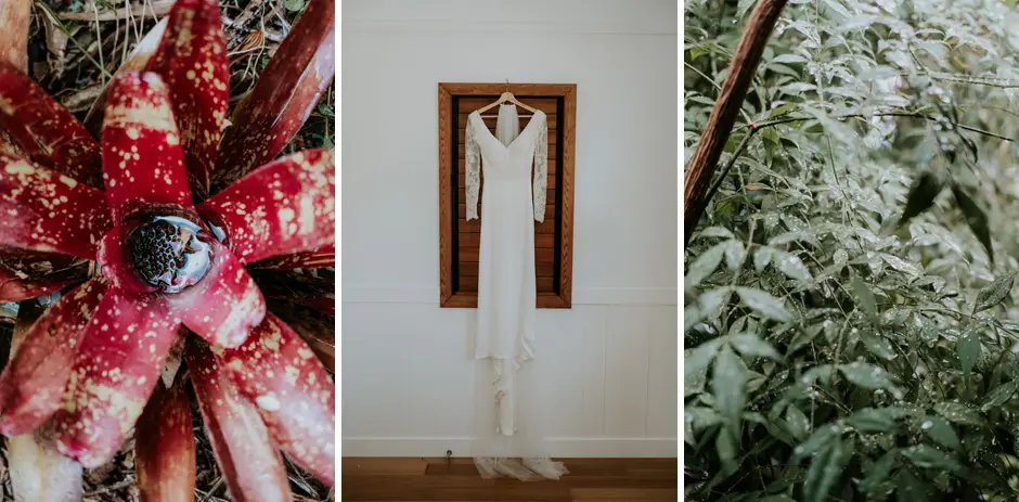 A red bromeliad, Jessica's gown hanging in a timber doorway, and native foliage in the garden, Eureka