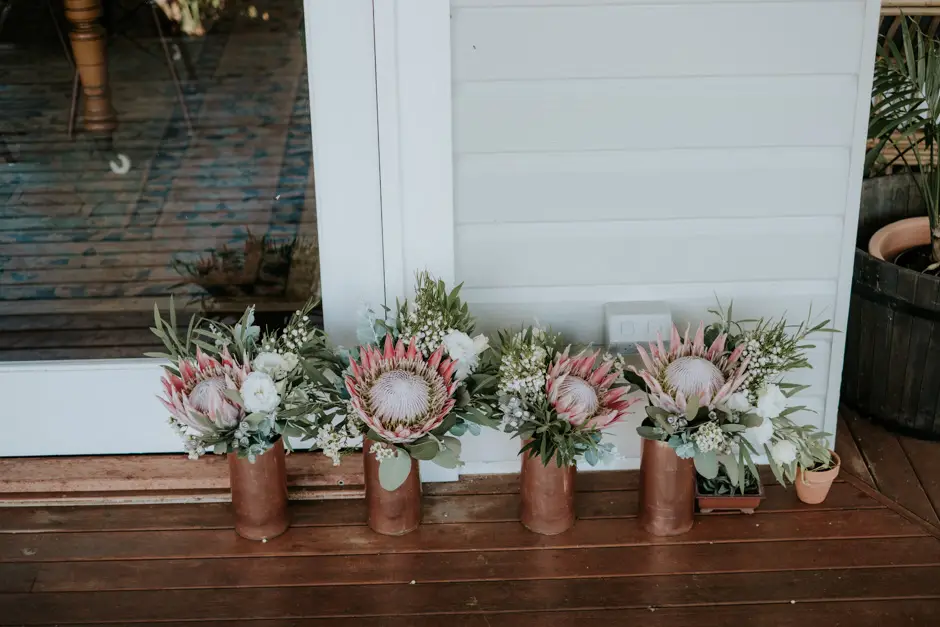 Potted king proteas lined along the verandah before the ceremony, Eureka