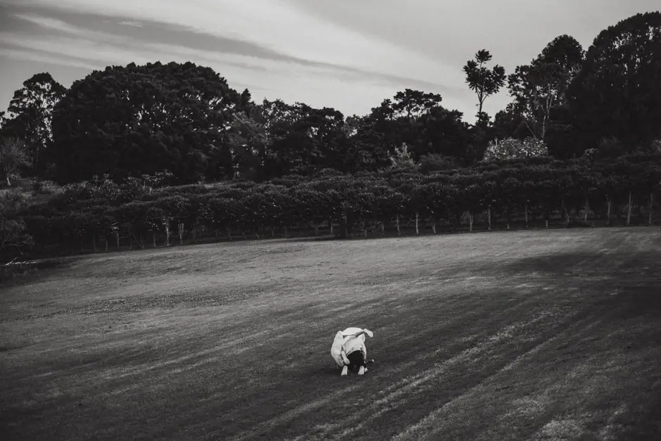 A small dog crossing the empty paddock at dusk, Eureka