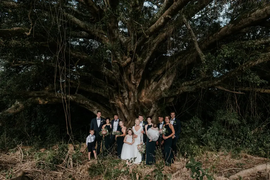 The bridal party beneath the enormous fig tree, Goremans Road