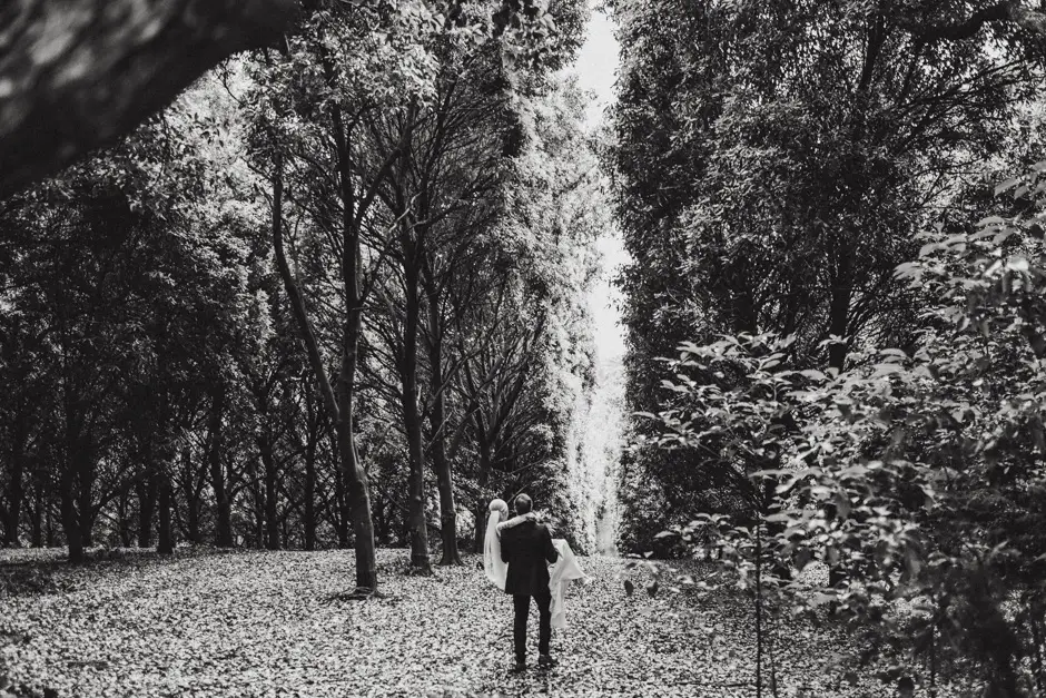 The couple small beneath the canopy in black and white, Eureka
