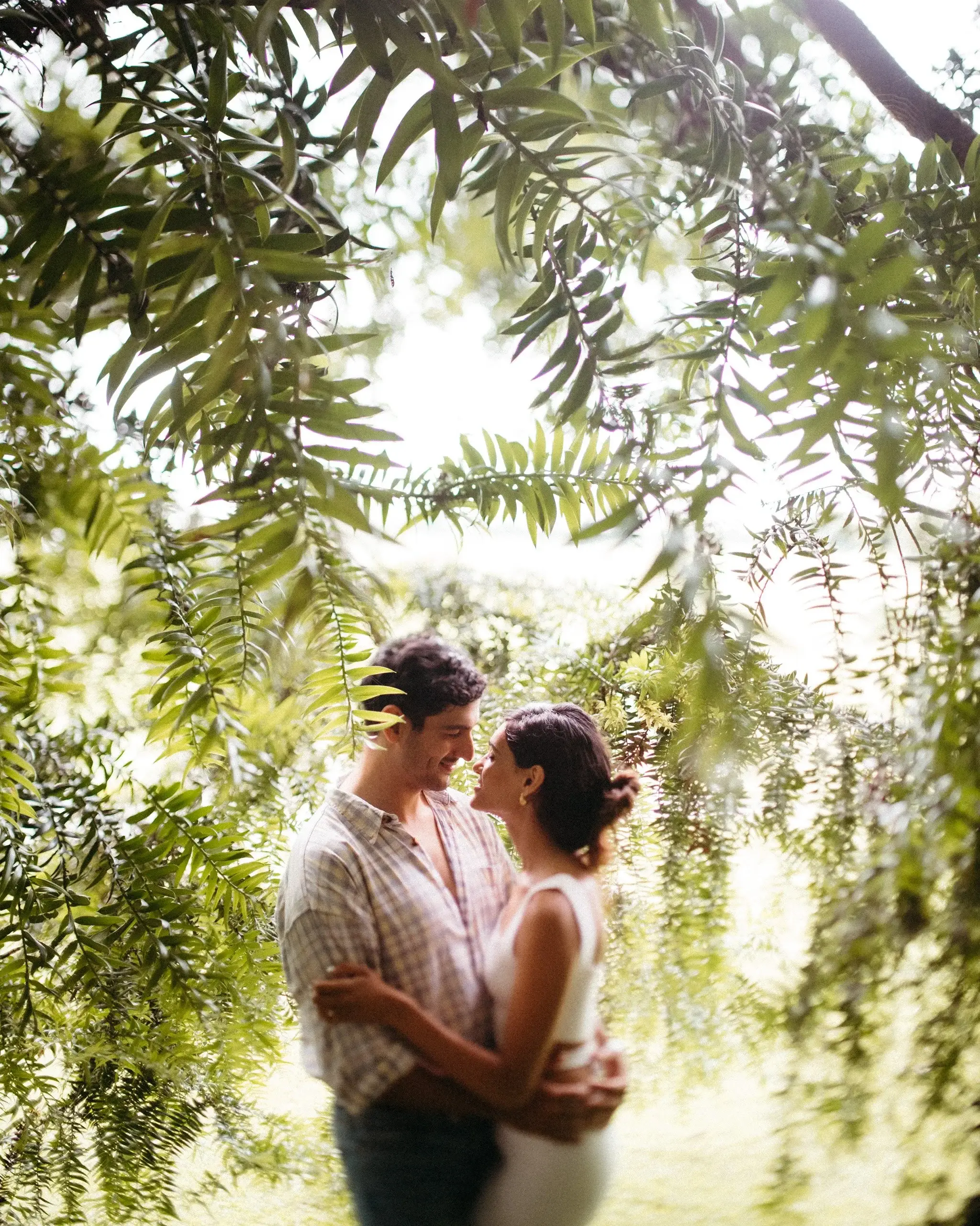 A couple embracing beneath fern fronds in warm afternoon light
