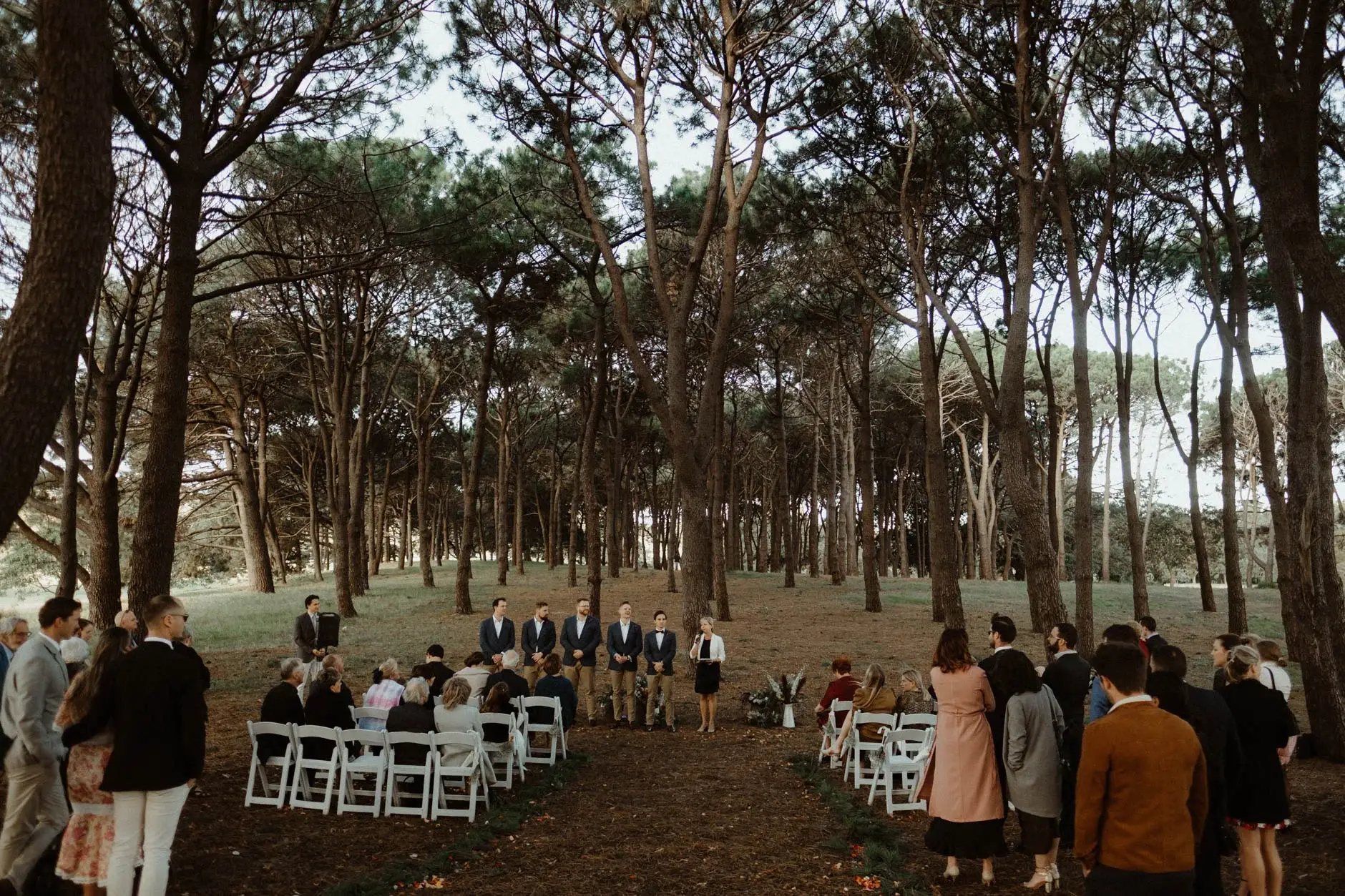 The ceremony set up among the paperbarks, Centennial Park