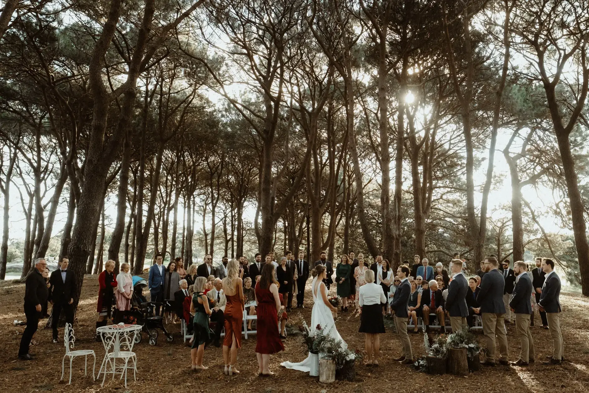 The whole ceremony in the paperbark grove at golden hour, Centennial Park
