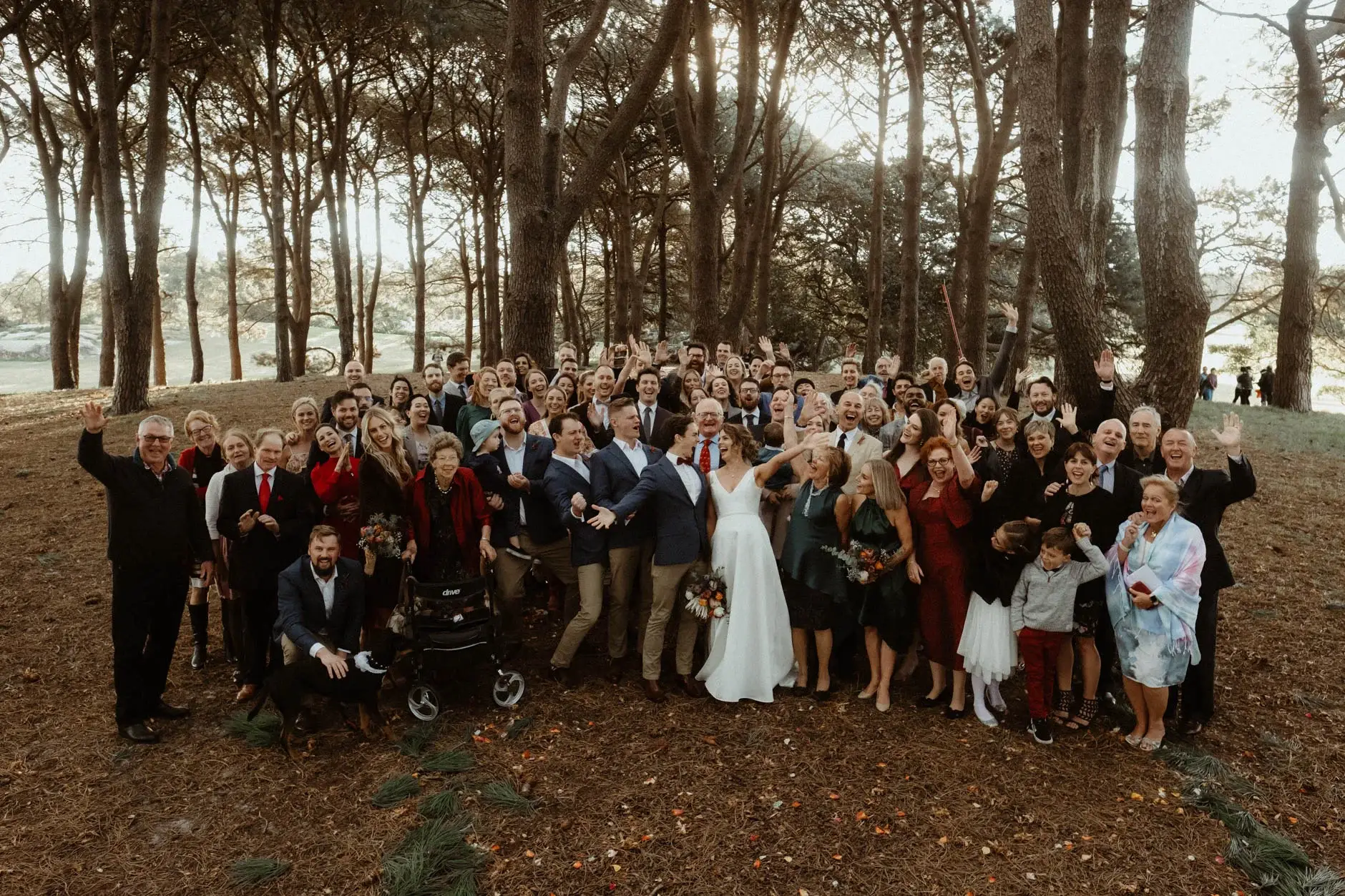 The full group portrait among the paperbarks, Centennial Park