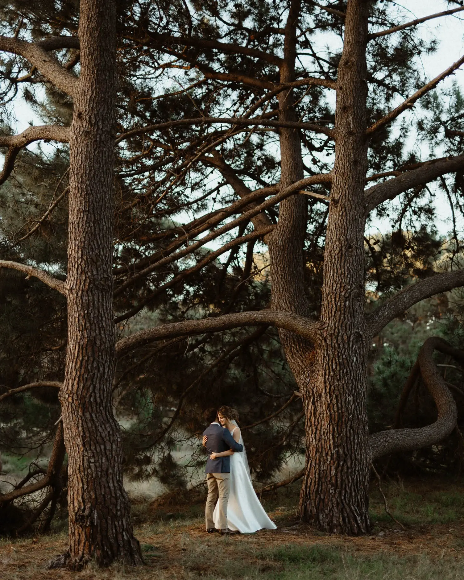 Kath and Ross framed between two pine trunks, Centennial Park