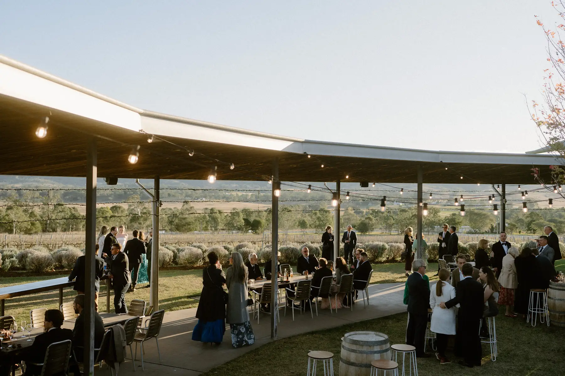 Guests spread out on the terrace under the festoon lights at golden hour, Kooroomba