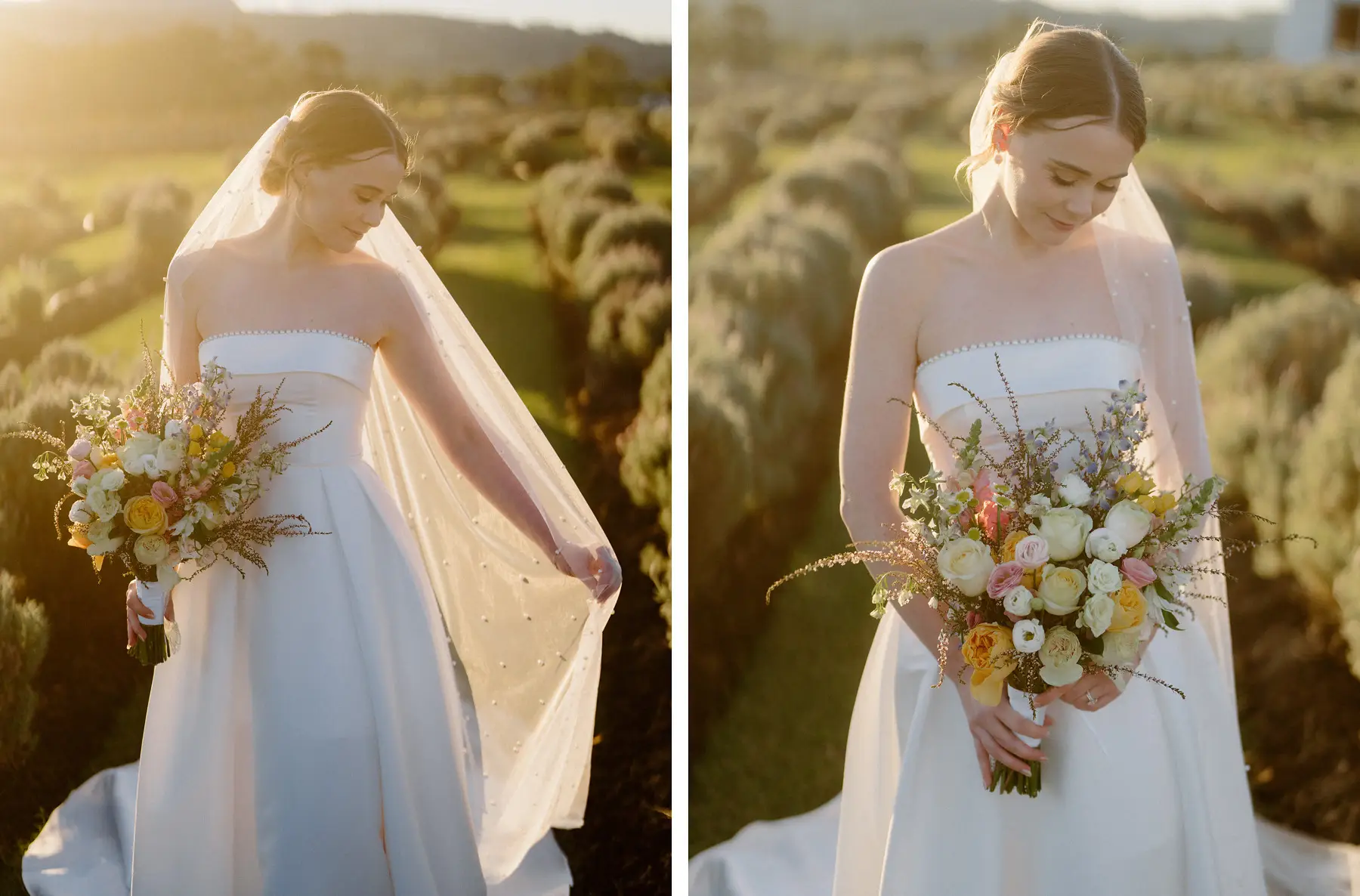 Nicole with her bouquet in the lavender rows, twice, with the light coming in low, Kooroomba Vineyard and Lavender Farm
