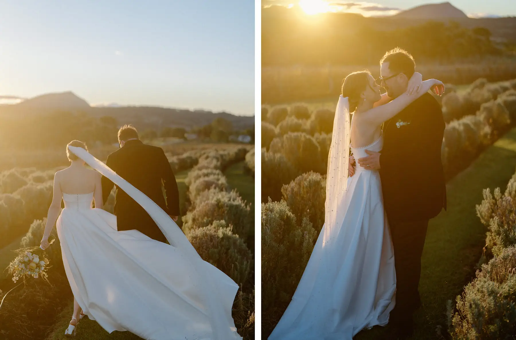 Nicole's veil catching the last of the sun as she and Ryan stand in the lavender, Kooroomba Vineyard and Lavender Farm
