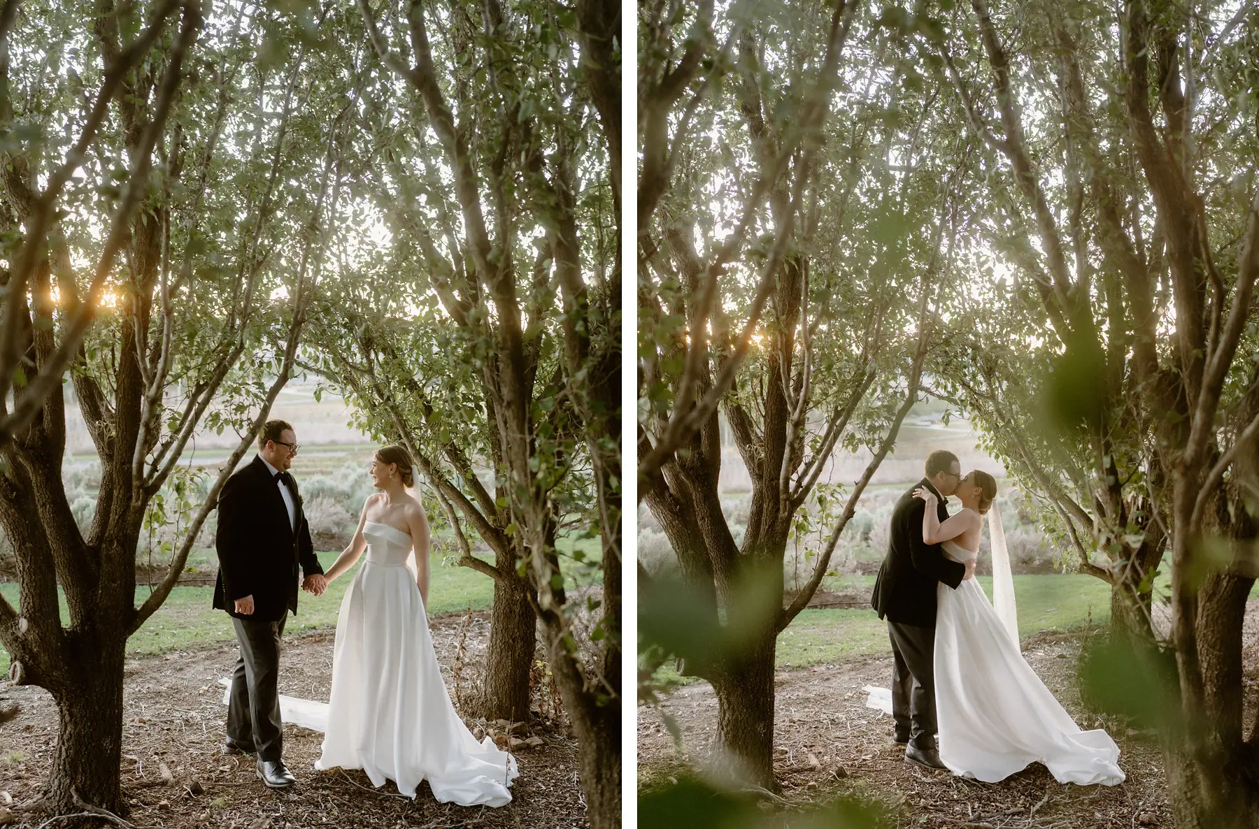 Nicole and Ryan among the olive trees as the light goes gold through the leaves, Kooroomba Vineyard and Lavender Farm