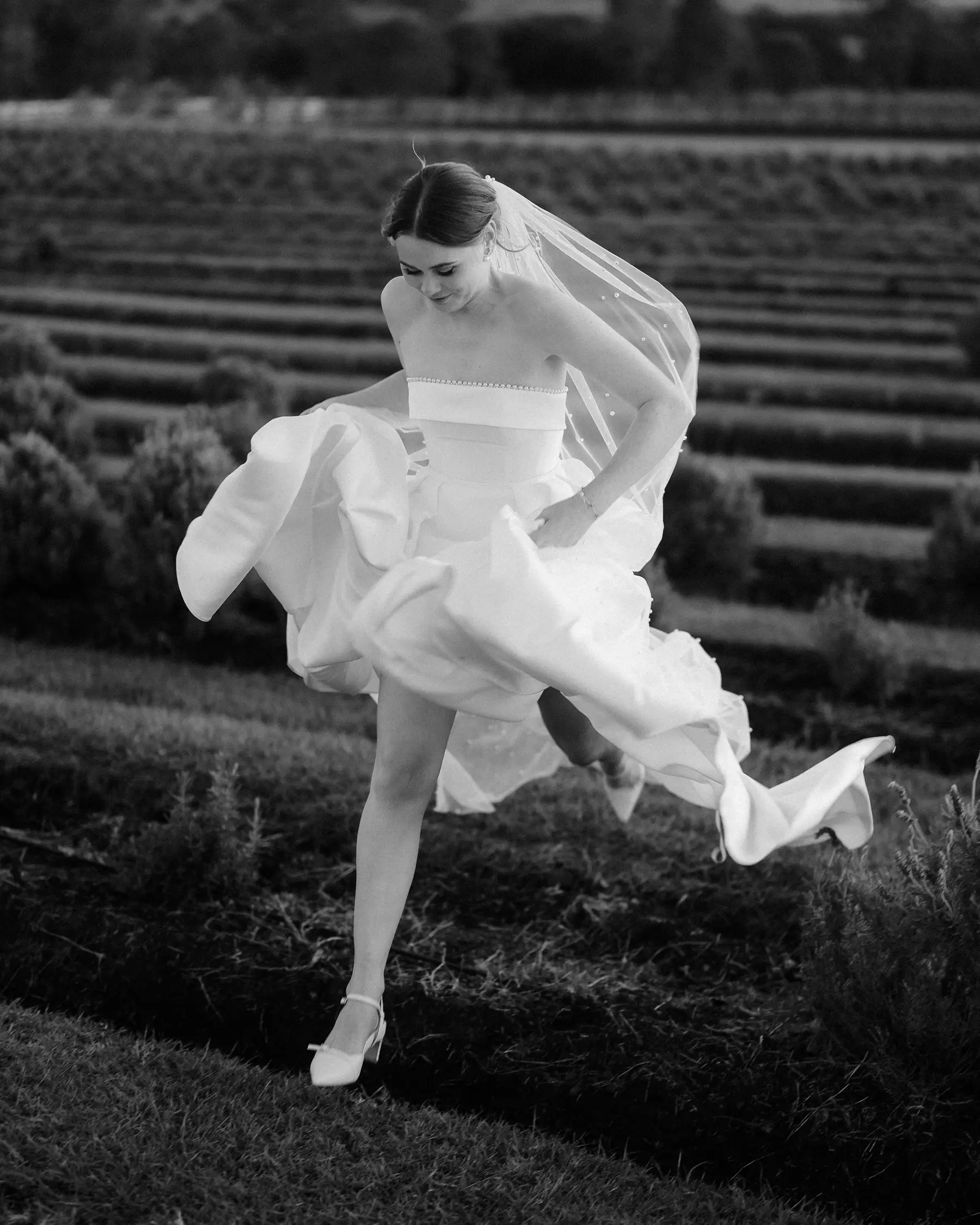 Mid-stride between the lavender rows, veil and skirt in motion, in black and white, Kooroomba