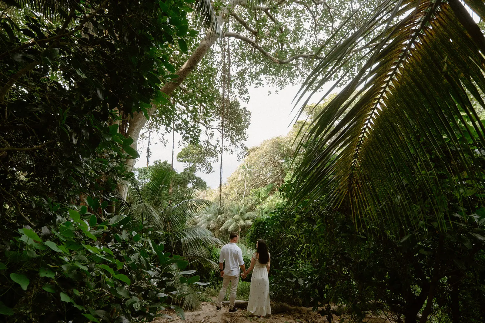 Mel and Brent walking a track through the palm forest, Lord Howe Island