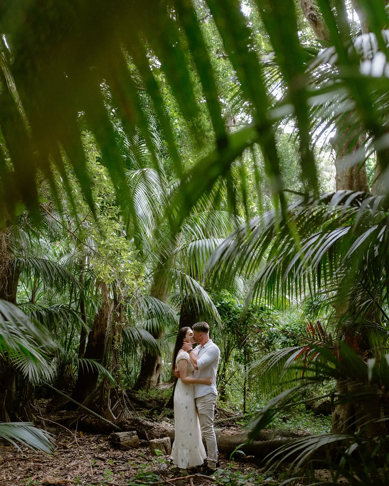Mel among the ferns on the forest floor, Lord Howe Island