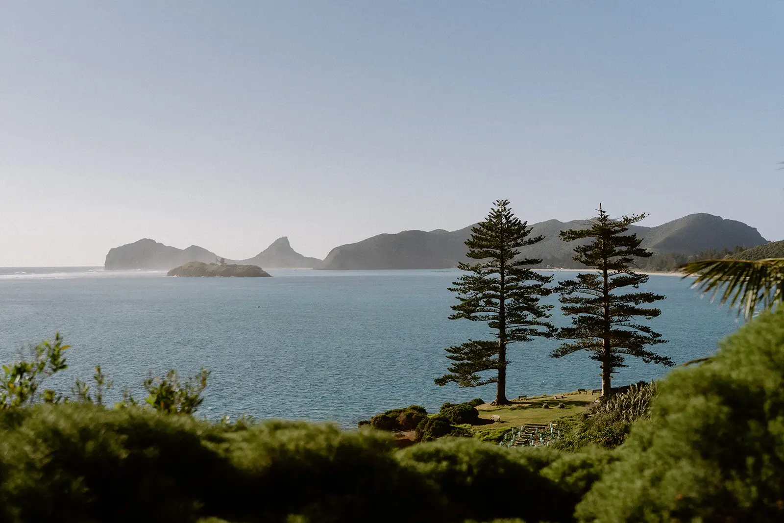 Norfolk pines above the lagoon with the mountains beyond, Lord Howe Island