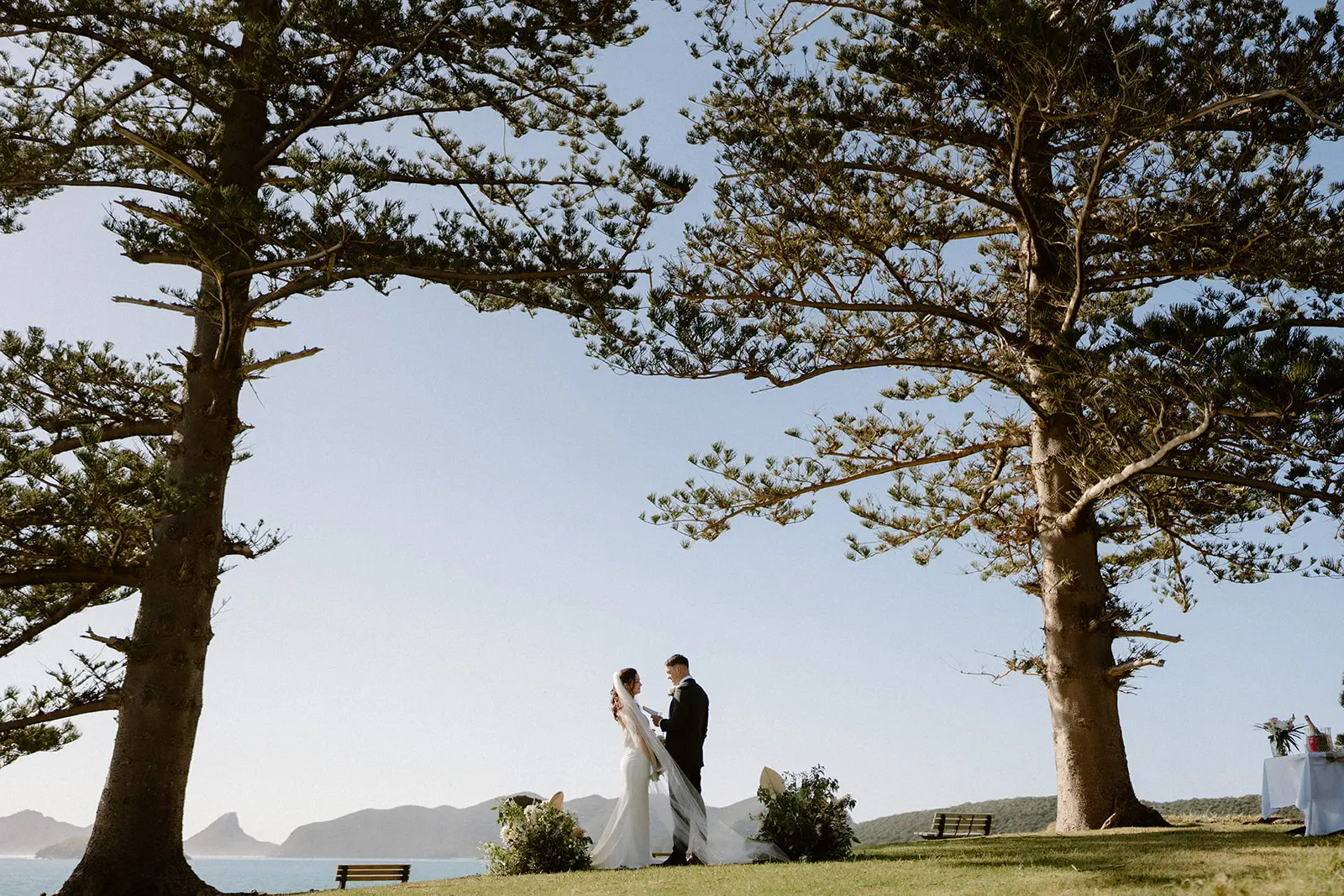 The ceremony framed by two pines above the lagoon, Lord Howe Island