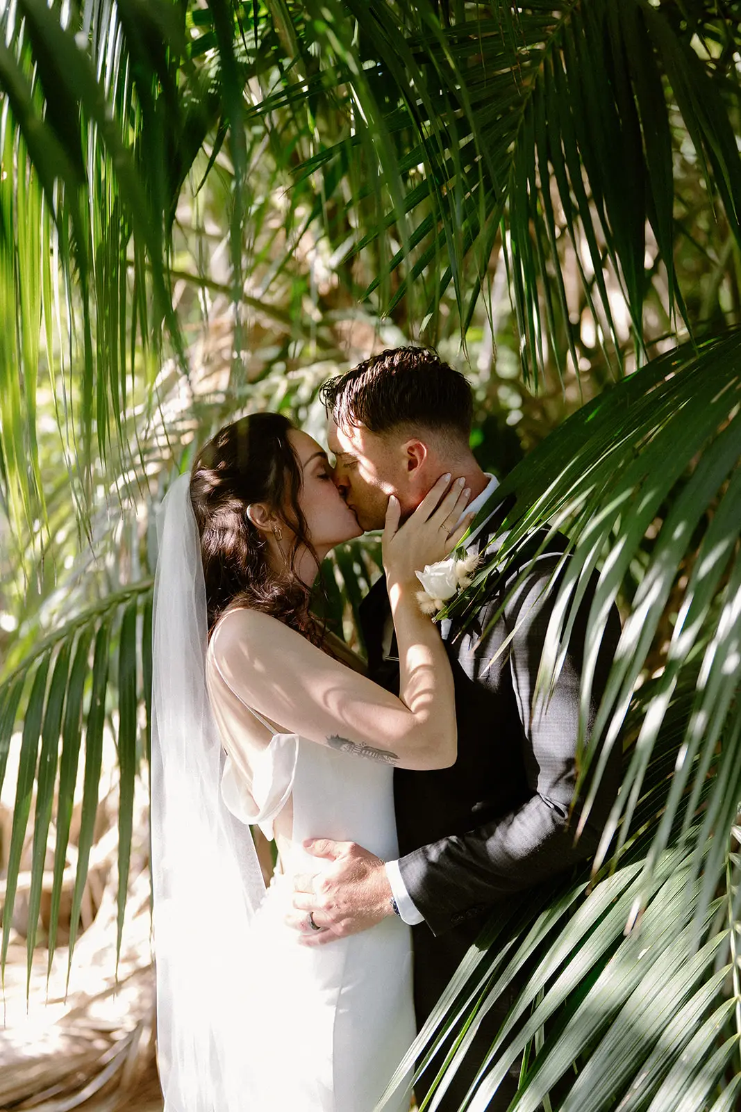 The couple kissing, framed by a palm, Lord Howe Island