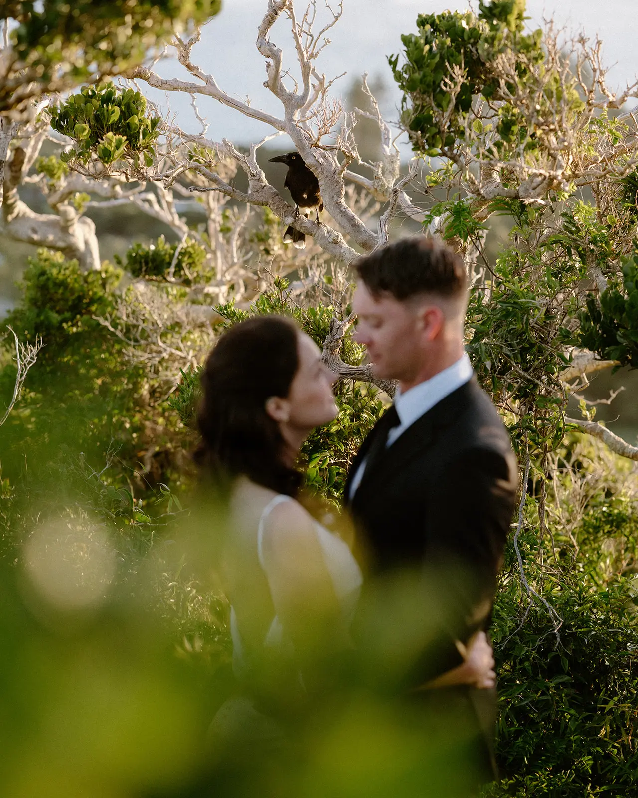 Mel and Brent face to face among the foliage, Lord Howe Island