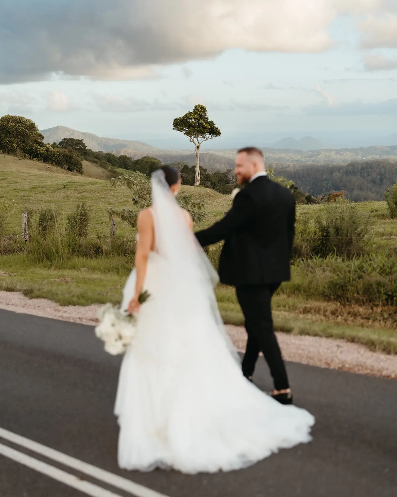 Crossing the road above the valley, her train trailing behind, Maleny Manor