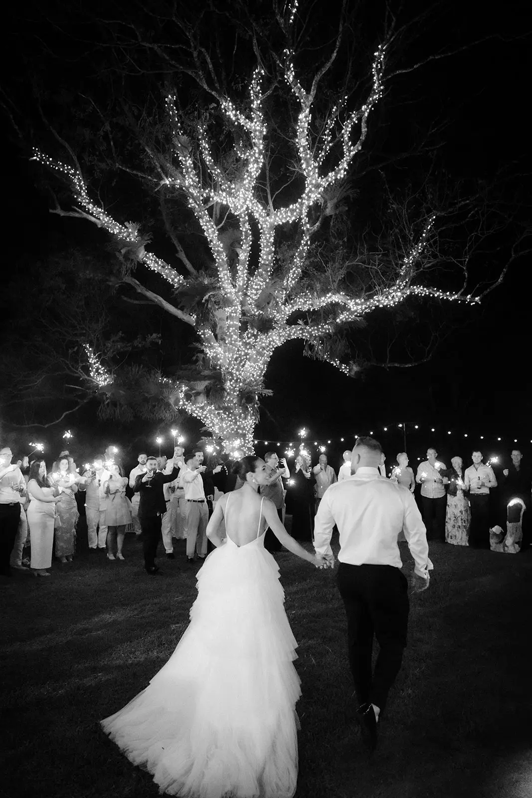 Black and white — walking out beneath the lit tree, guests either side, Maleny Manor