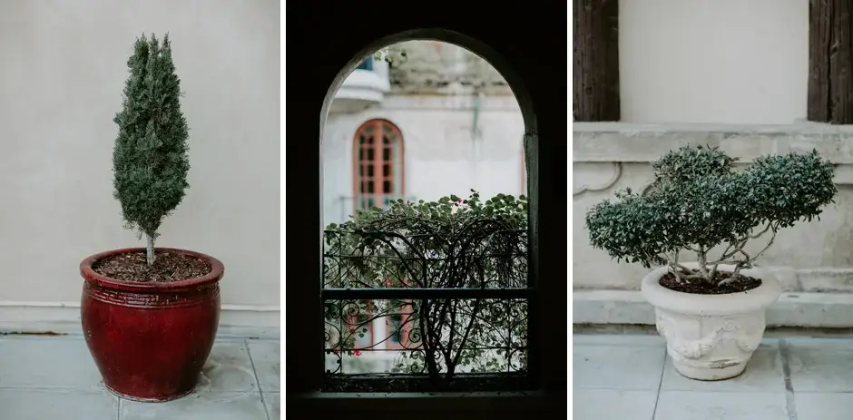 A cypress in a red pot, an arched window, and a clipped shrub at the Mission Inn