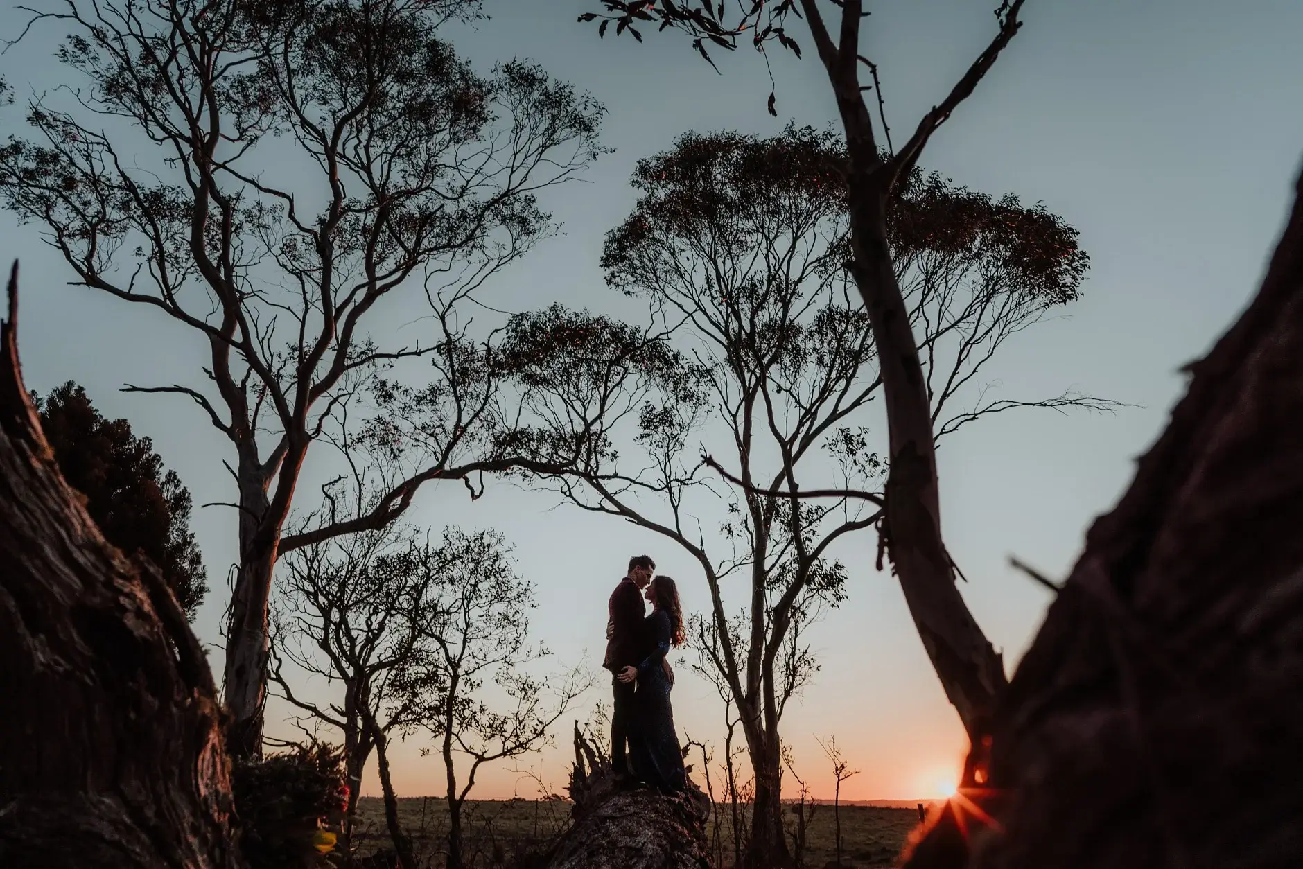 The two of them silhouetted between burnt gums at sunset, New England