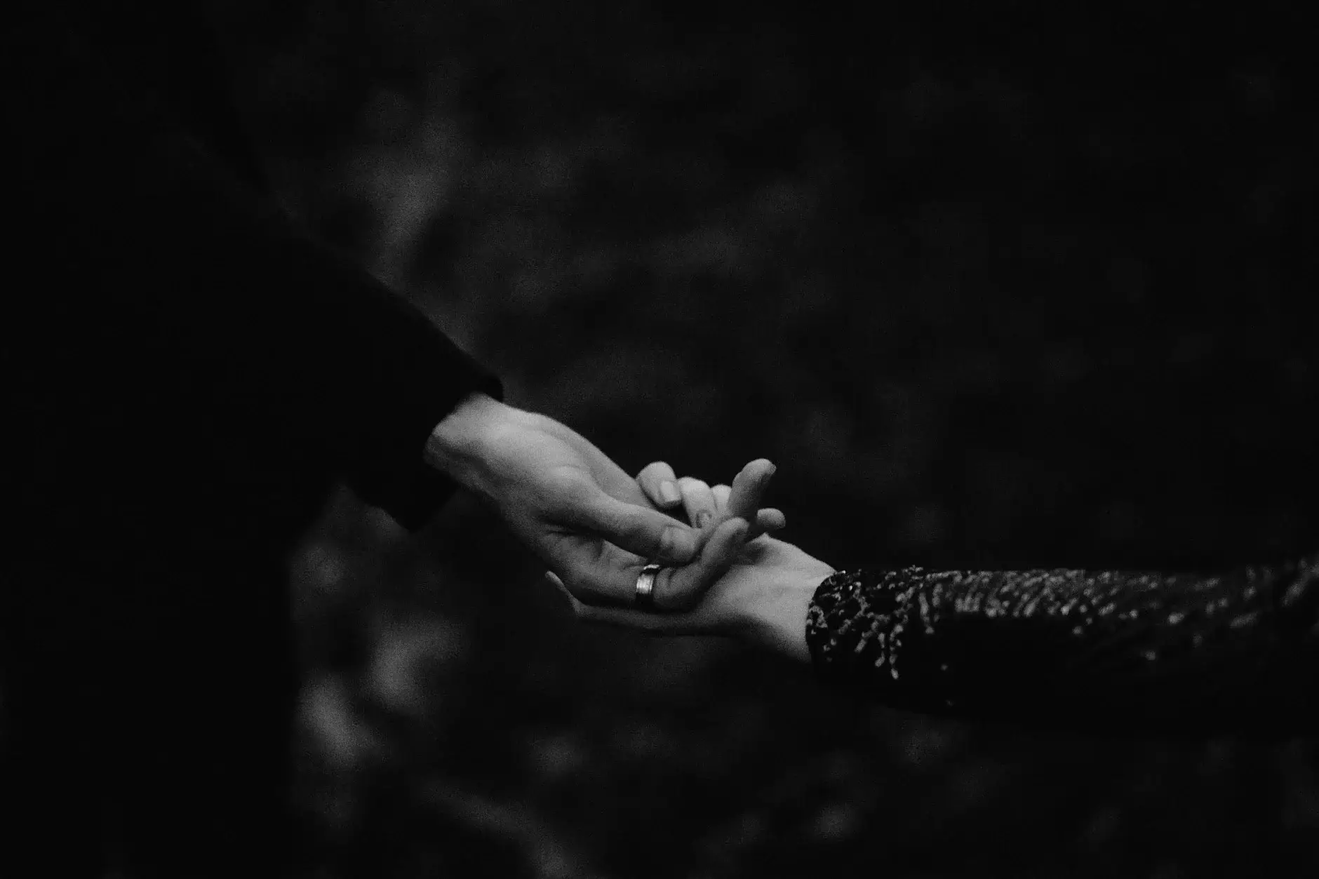 Their hands joined, black and white, New England National Park