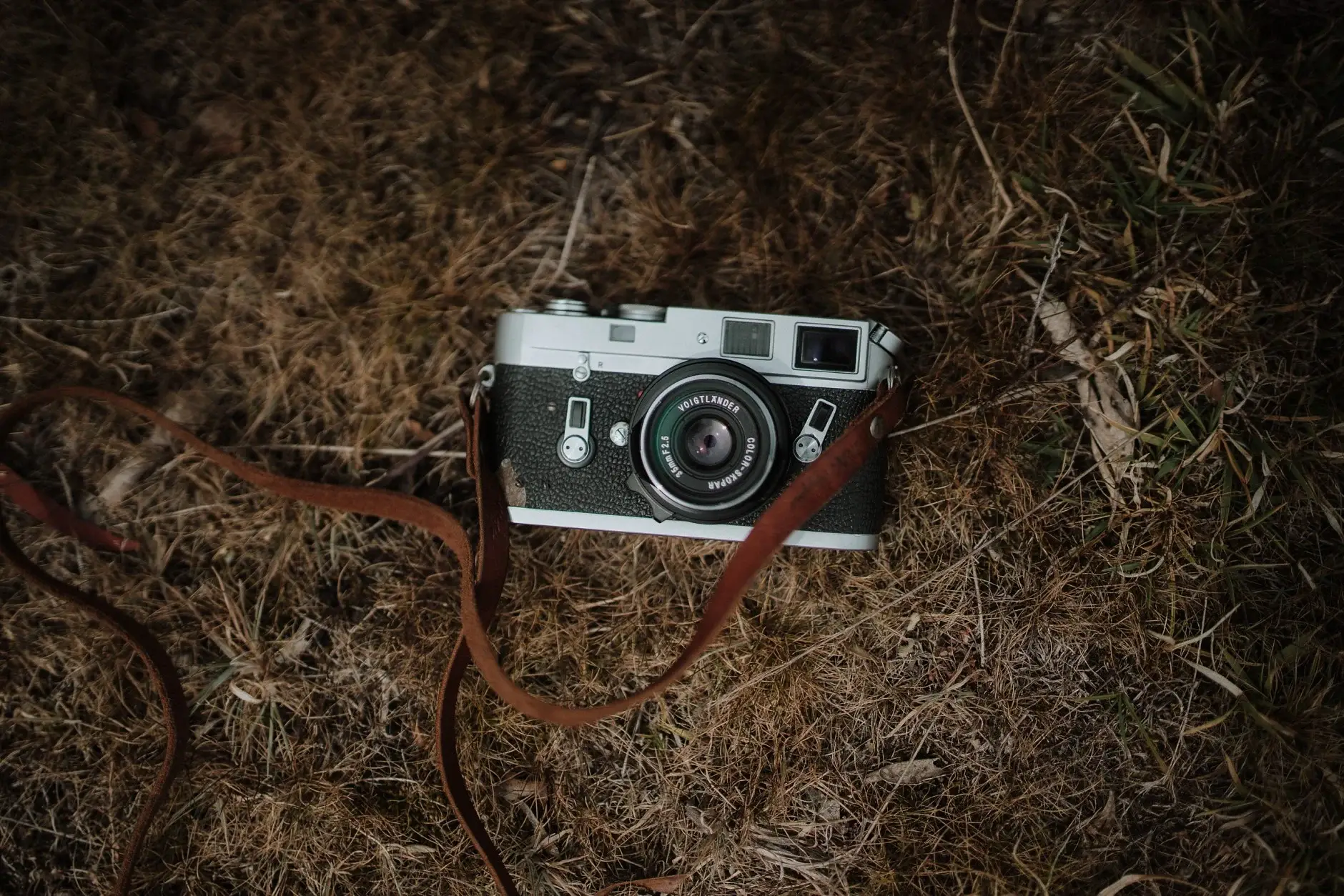 A vintage rangefinder camera lying in the dry grass, New England