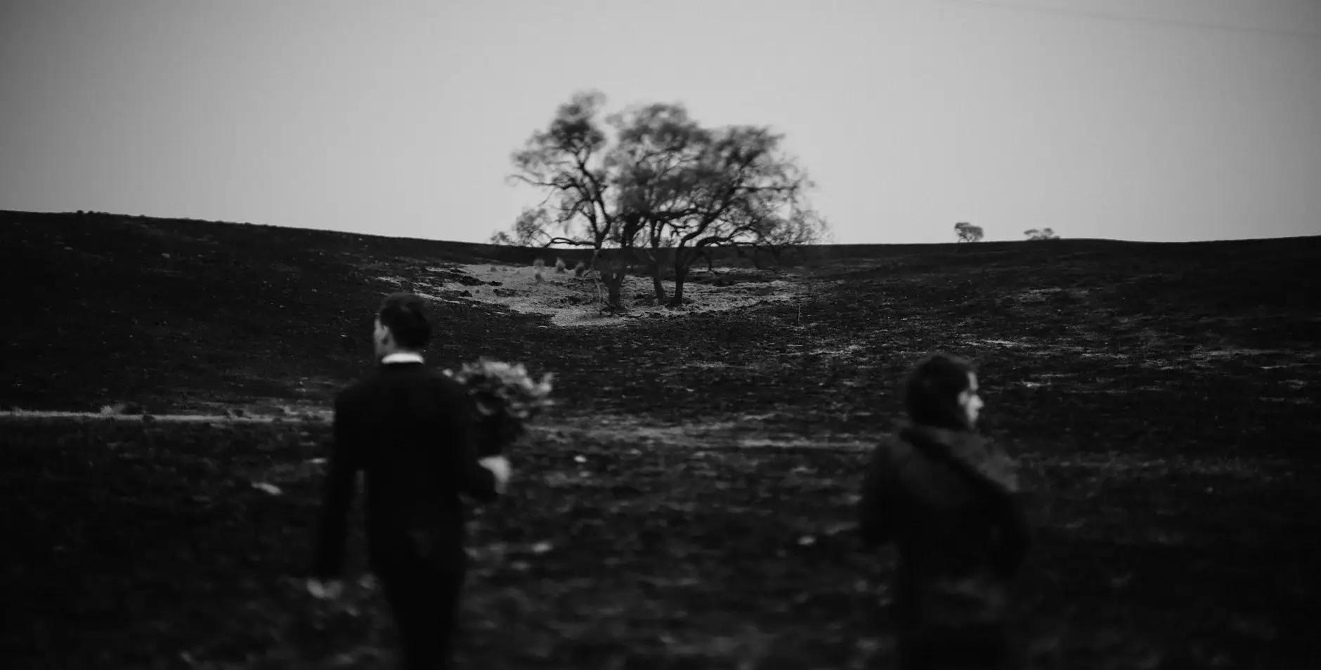 Walking up the blackened hill in the haze, New England National Park