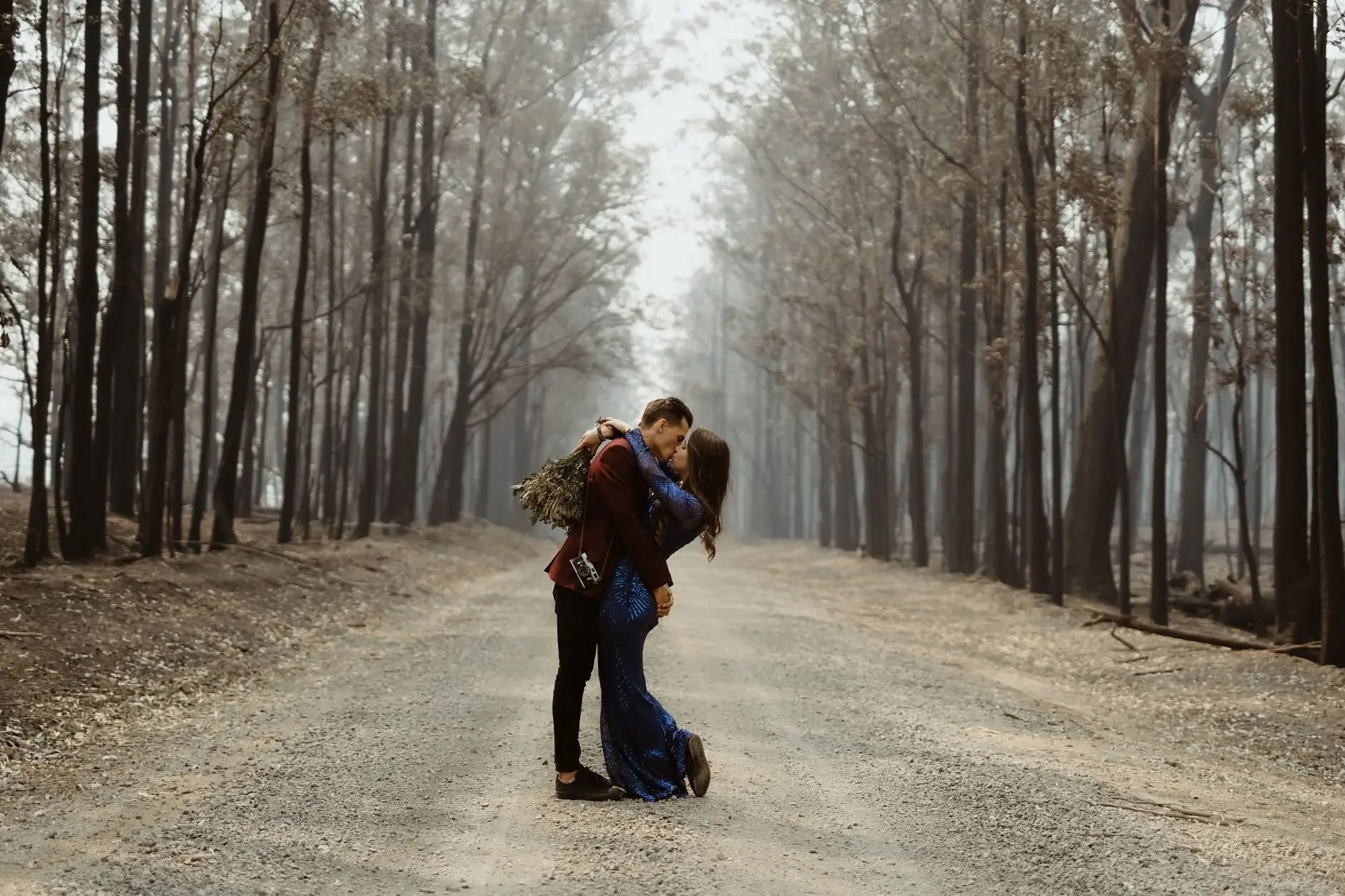 A kiss on the gravel road between scorched trunks, New England