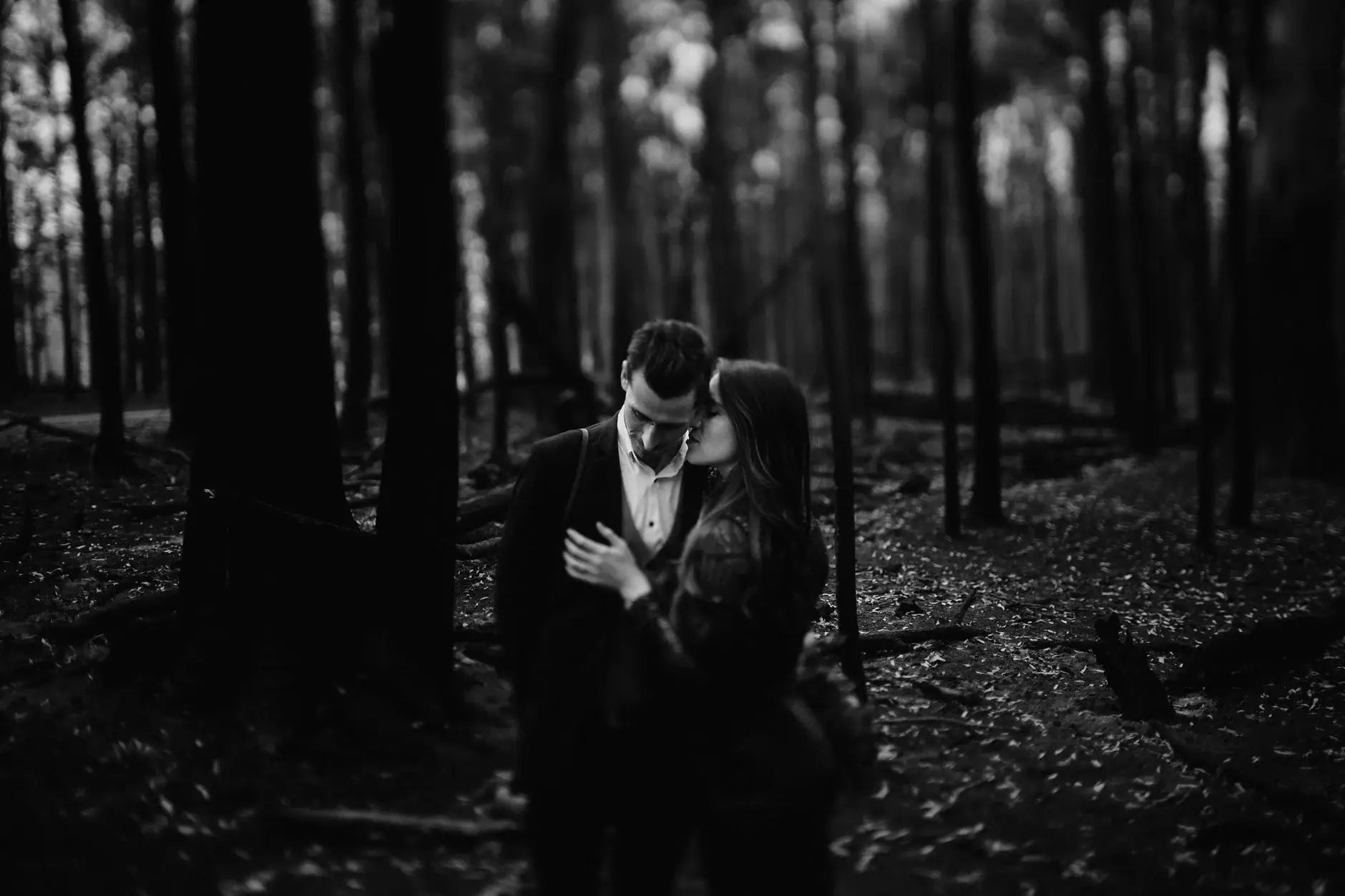 A close embrace among the burnt trunks, black and white, New England