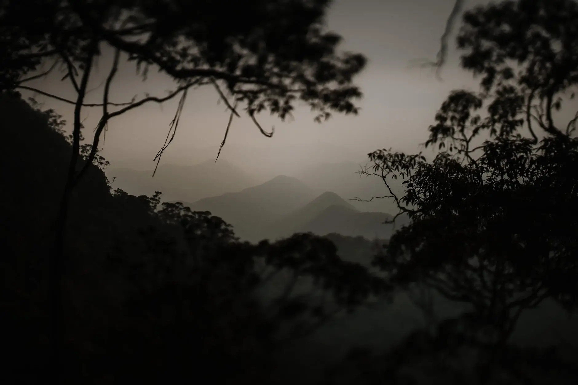 Cloud sitting over the escarpment, New England National Park