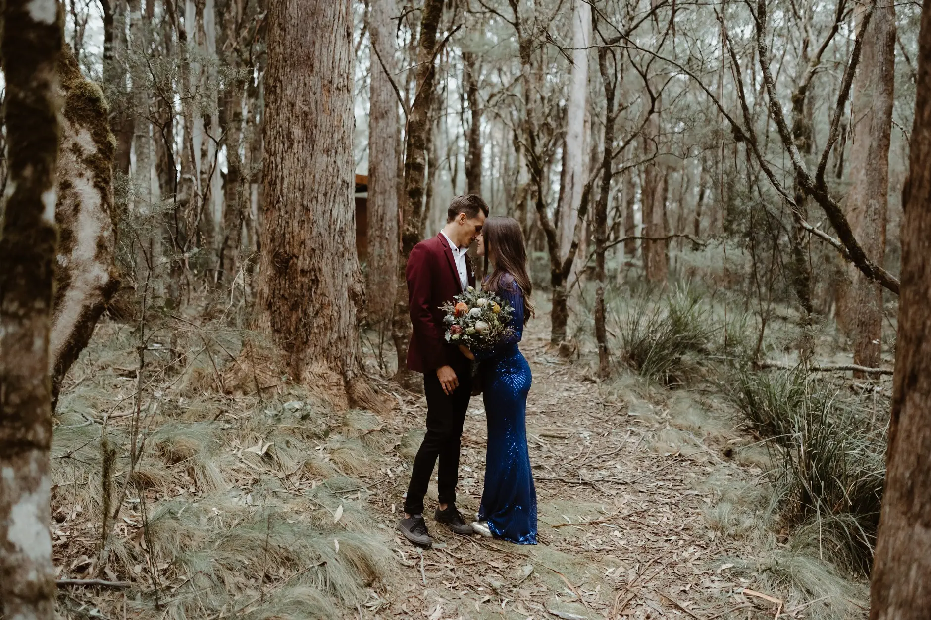 A GIF of the rainforest, New England National Park