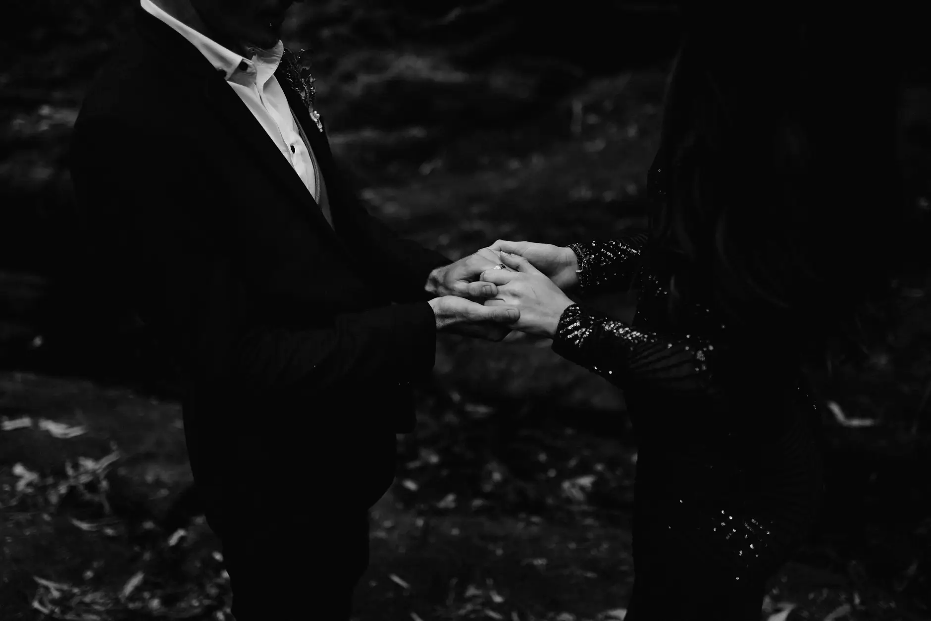 Putting on the ring, black and white, New England National Park
