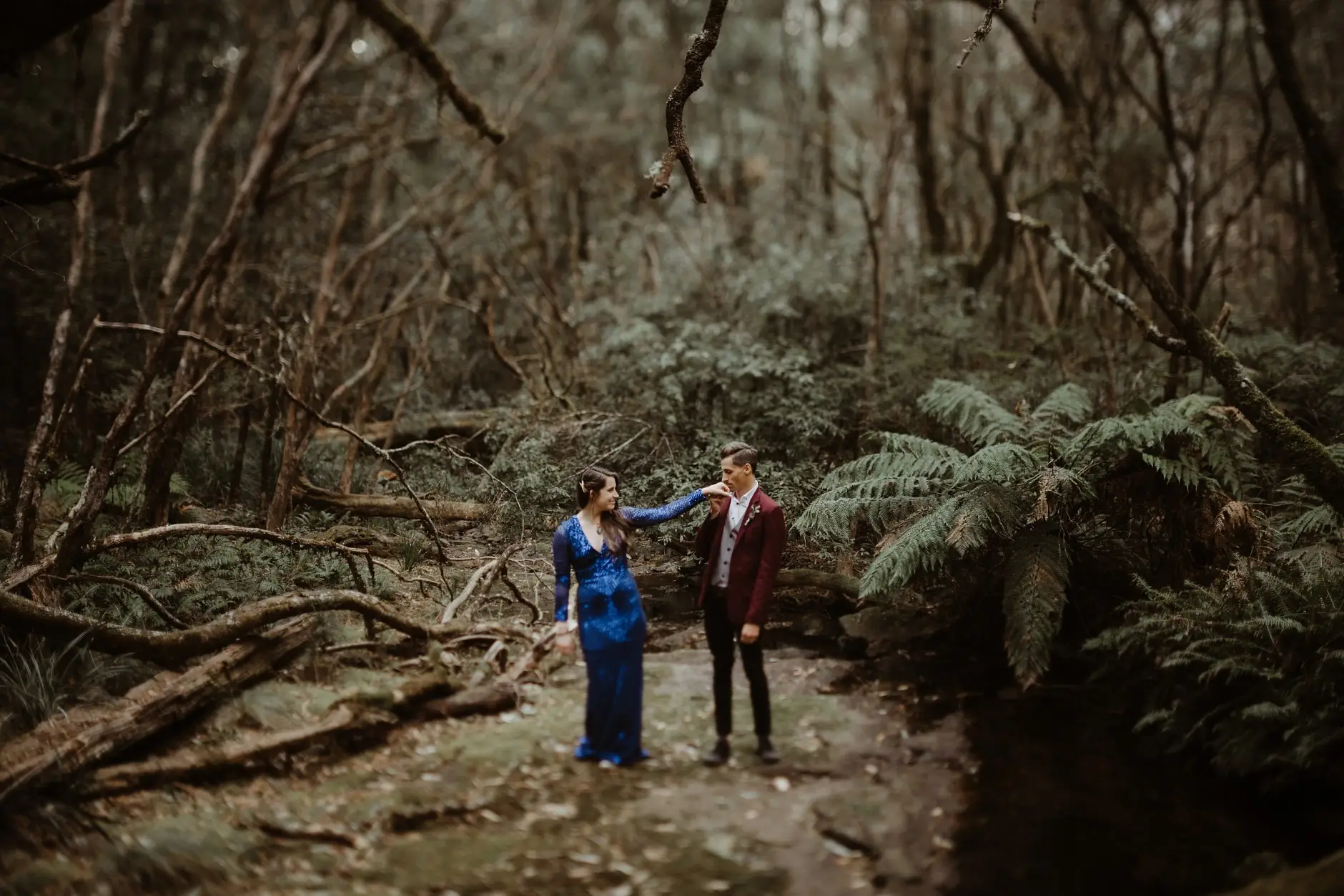 Standing together beneath the mossy beeches, New England National Park