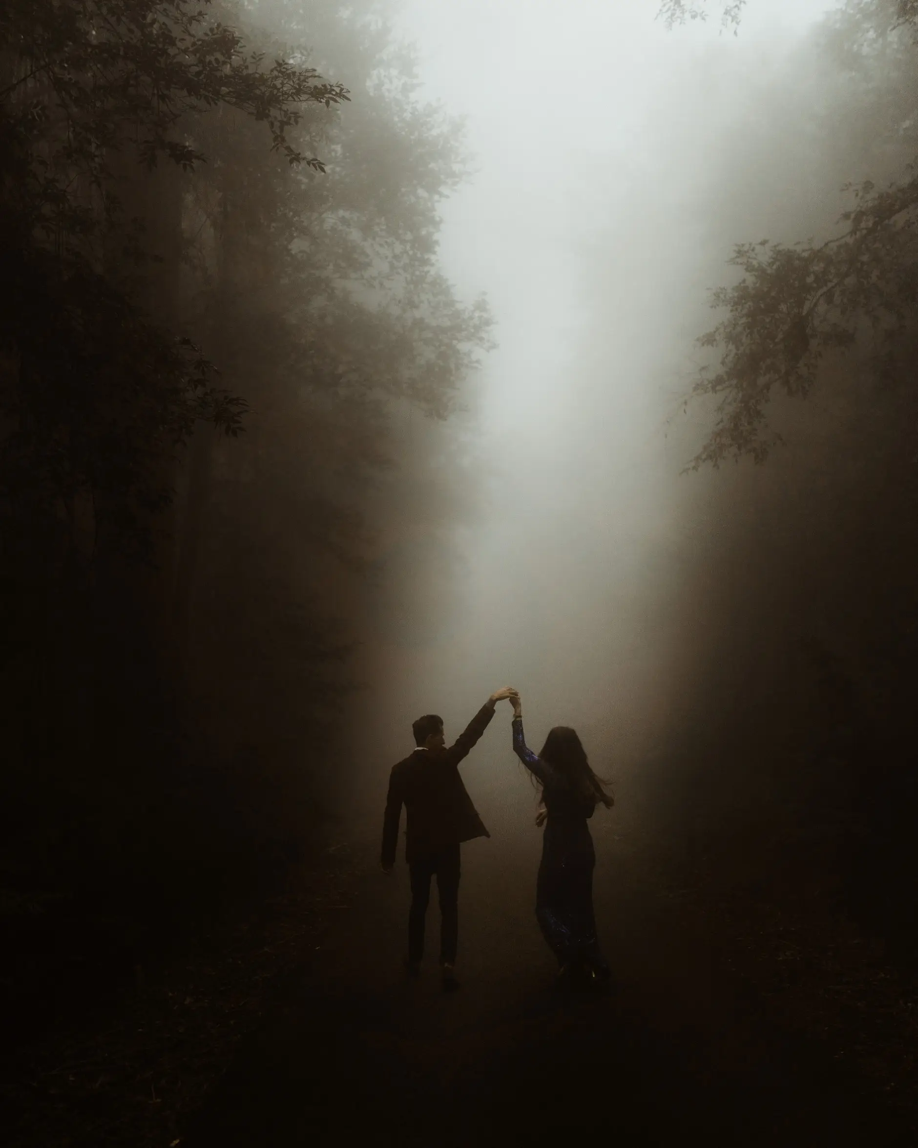 Dancing on the foggy road framed by trees, New England National Park