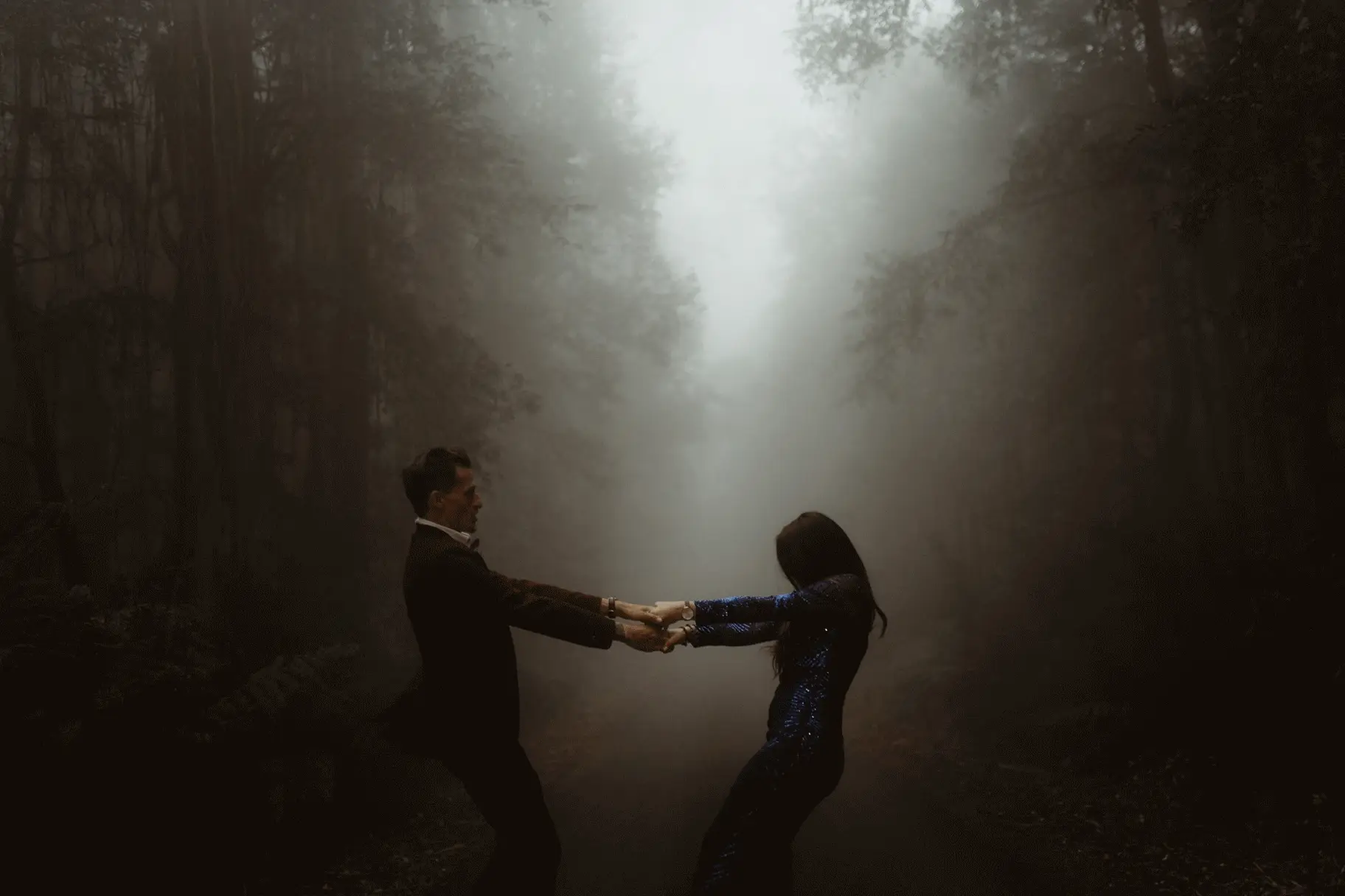 Pulling each other along the misty road, New England National Park