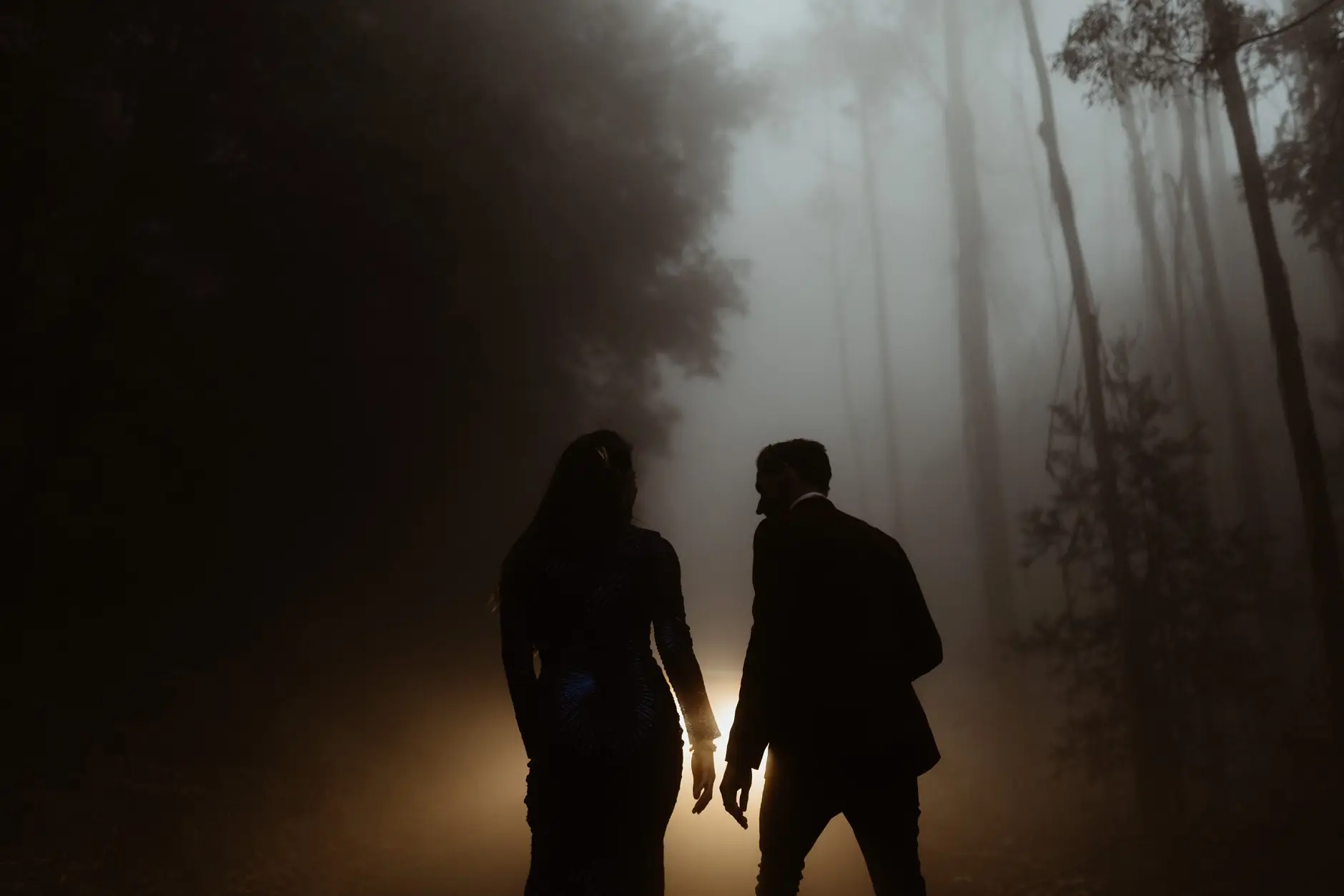 Silhouettes in the golden fog, New England National Park