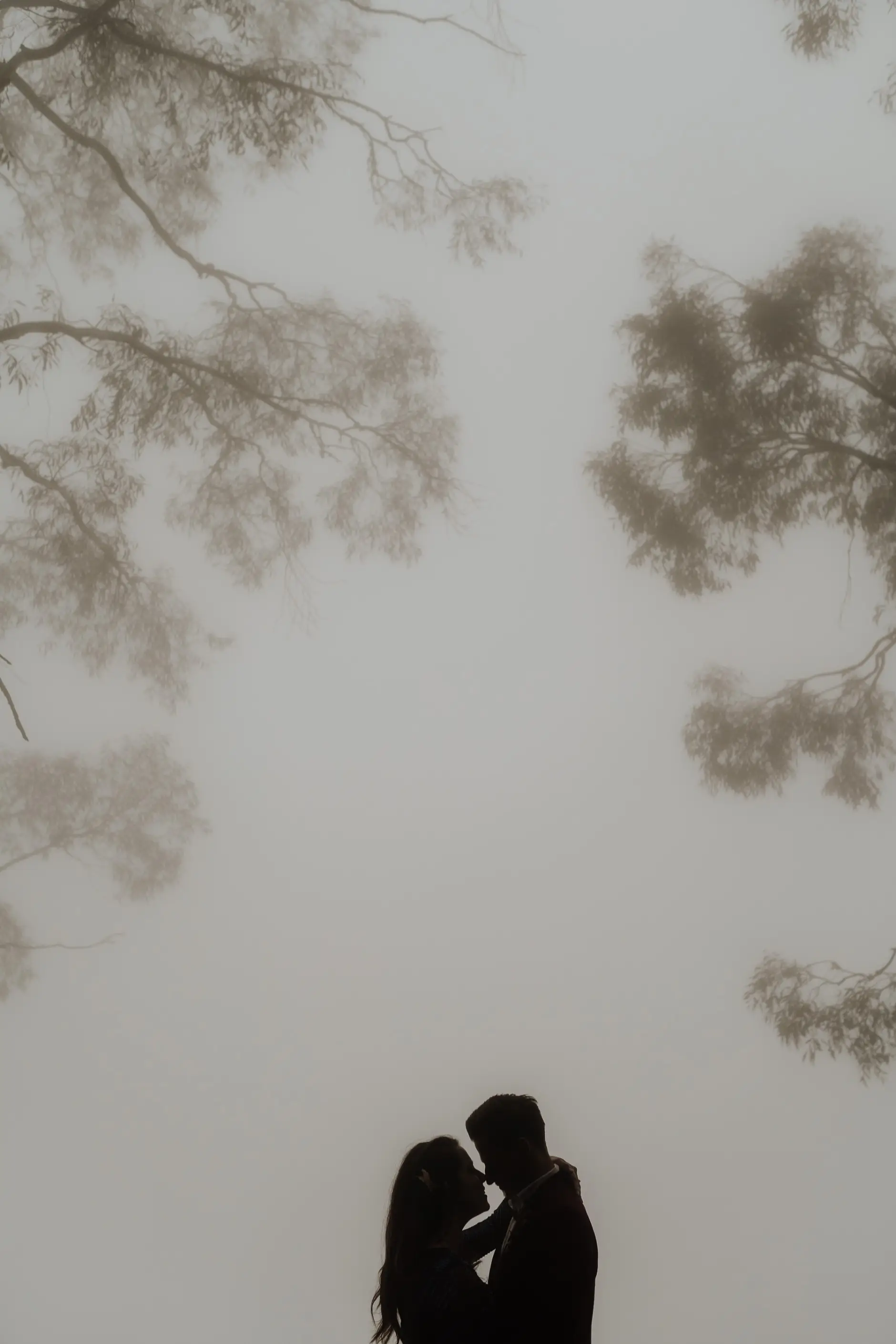 The two of them kissing in dense white fog beneath a tree