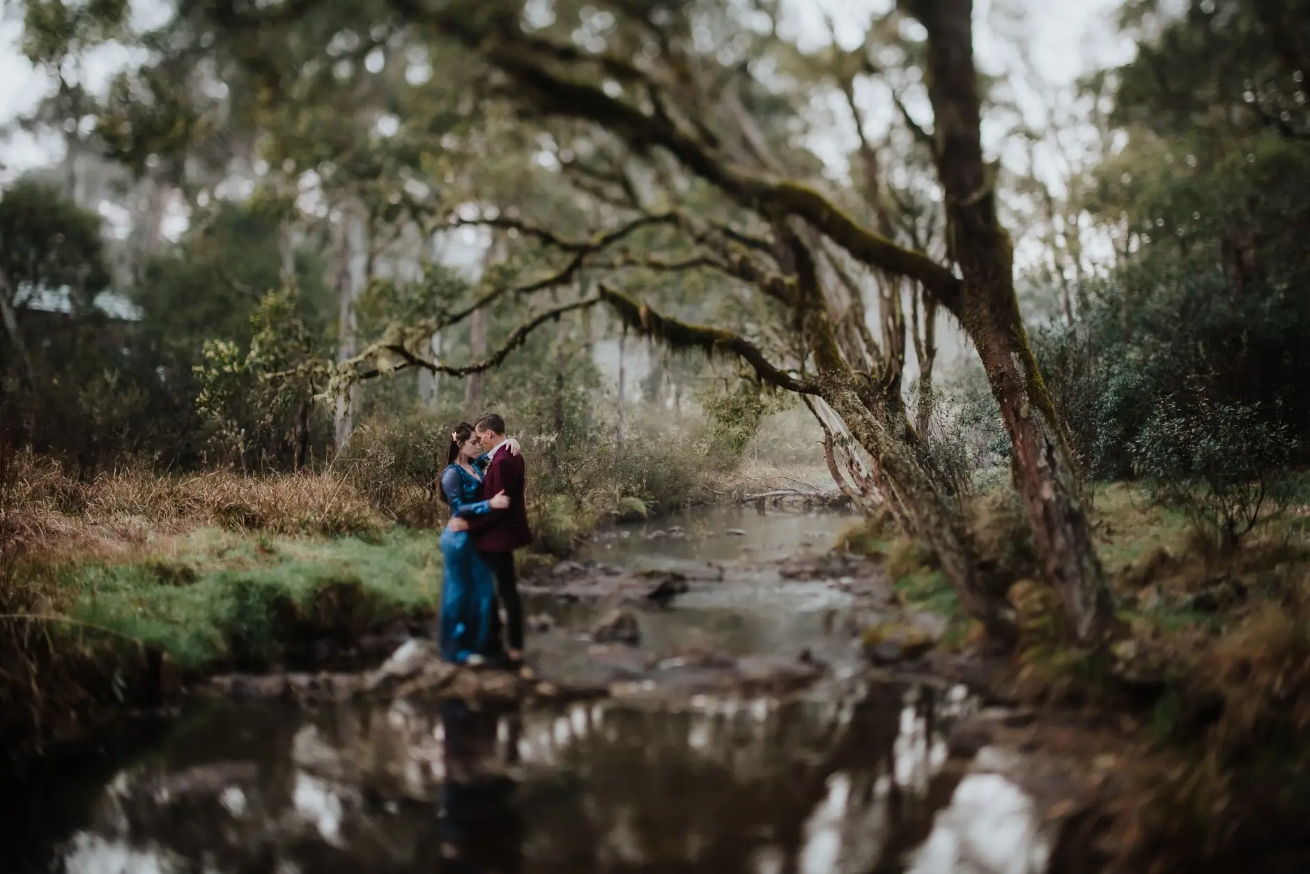 An embrace at the edge of the creek, New England National Park