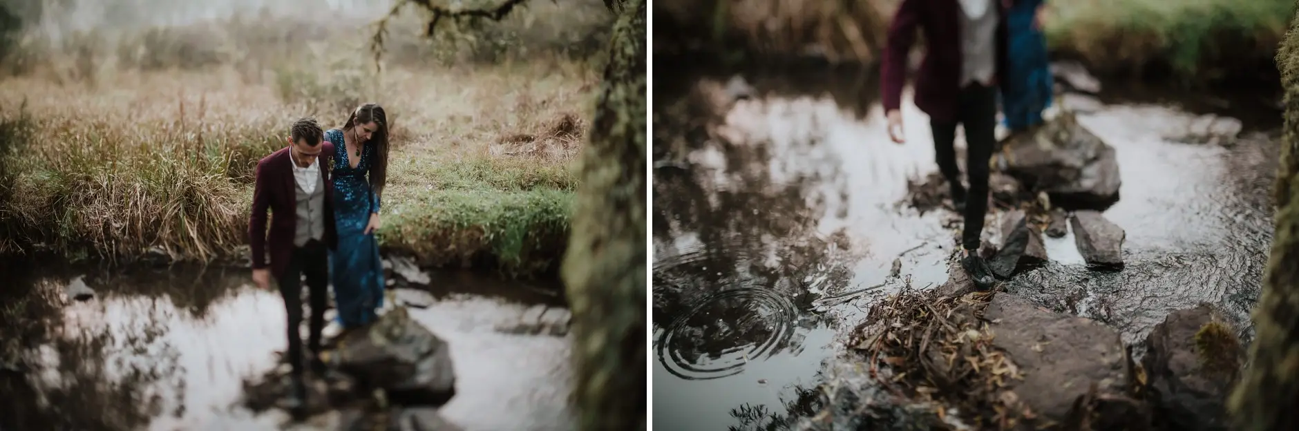 Two frames of them by the creek, New England National Park
