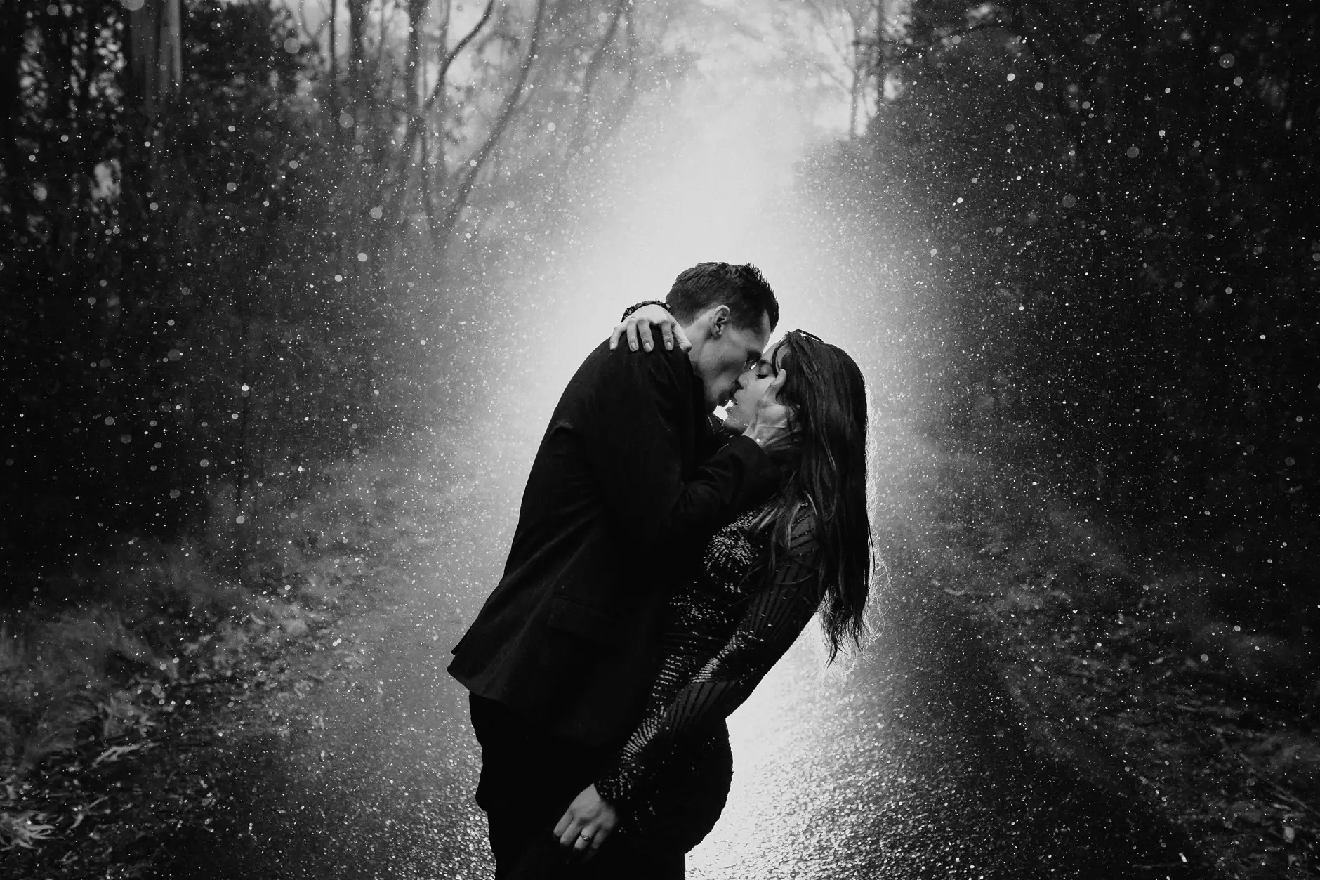 A kiss in the rain, black and white, New England National Park