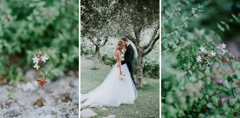 Blossom, the couple beneath the olive trees, and more blossom