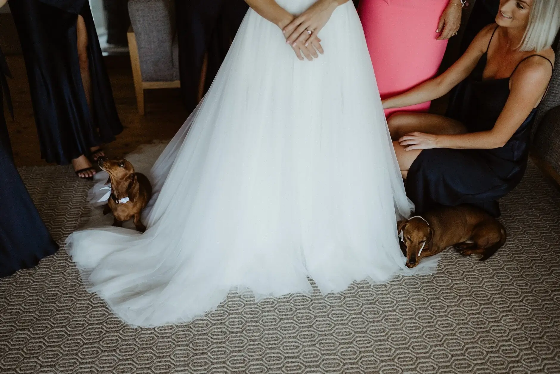 The bridesmaids arranging Clair’s train, with a dachshund underfoot