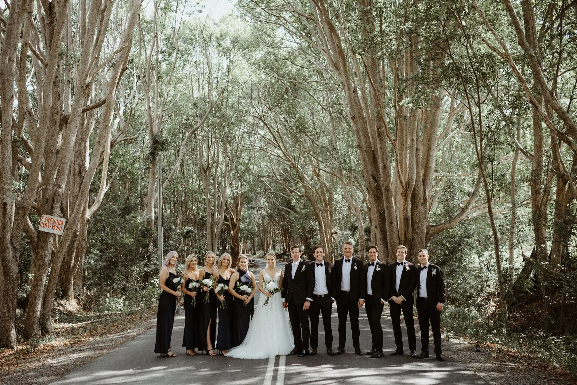 The bridal party on the road beneath the paperbarks, Burleigh Heads