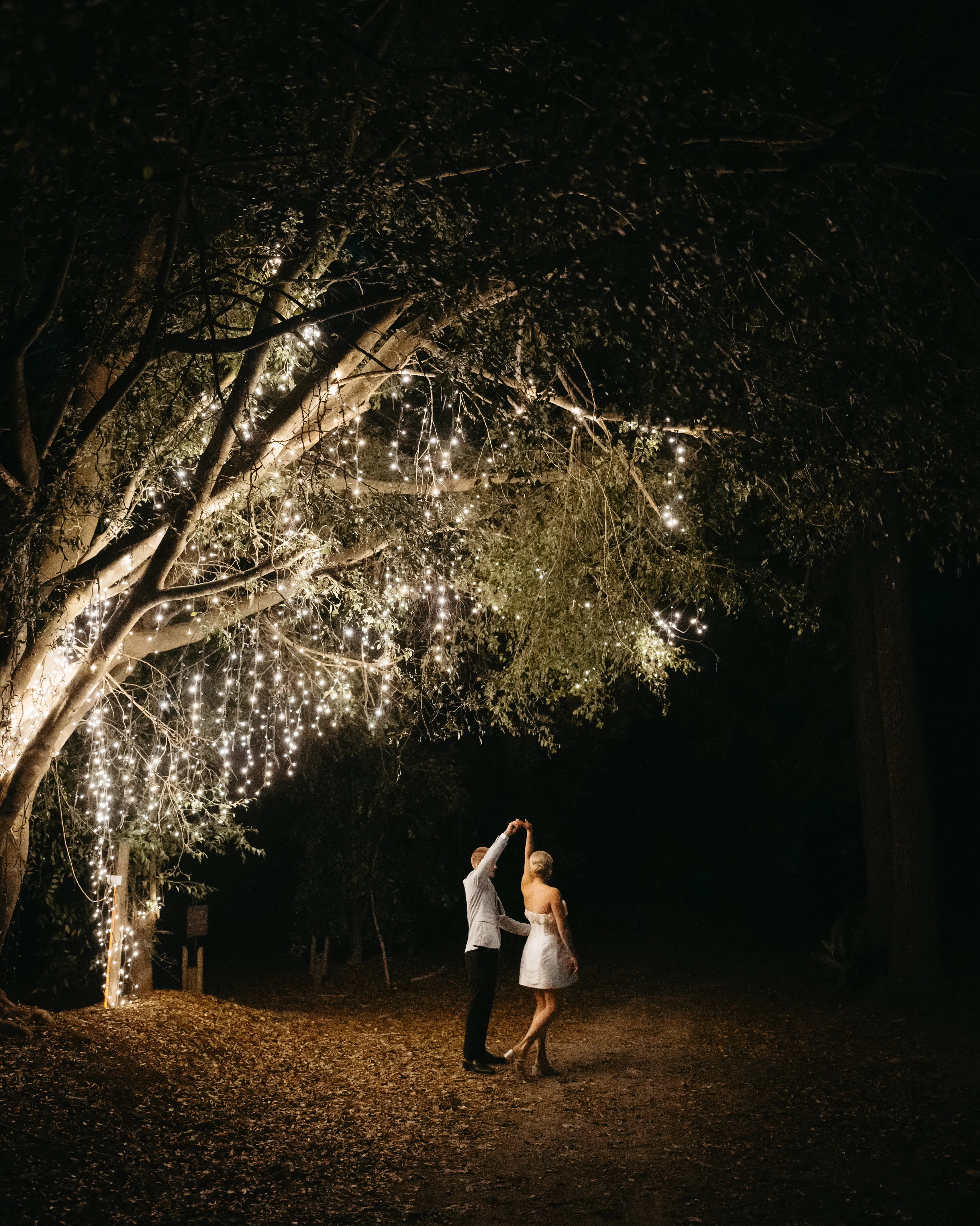 Dancing under the fairy-lit tree after dark, The Acre Boomerang Hills