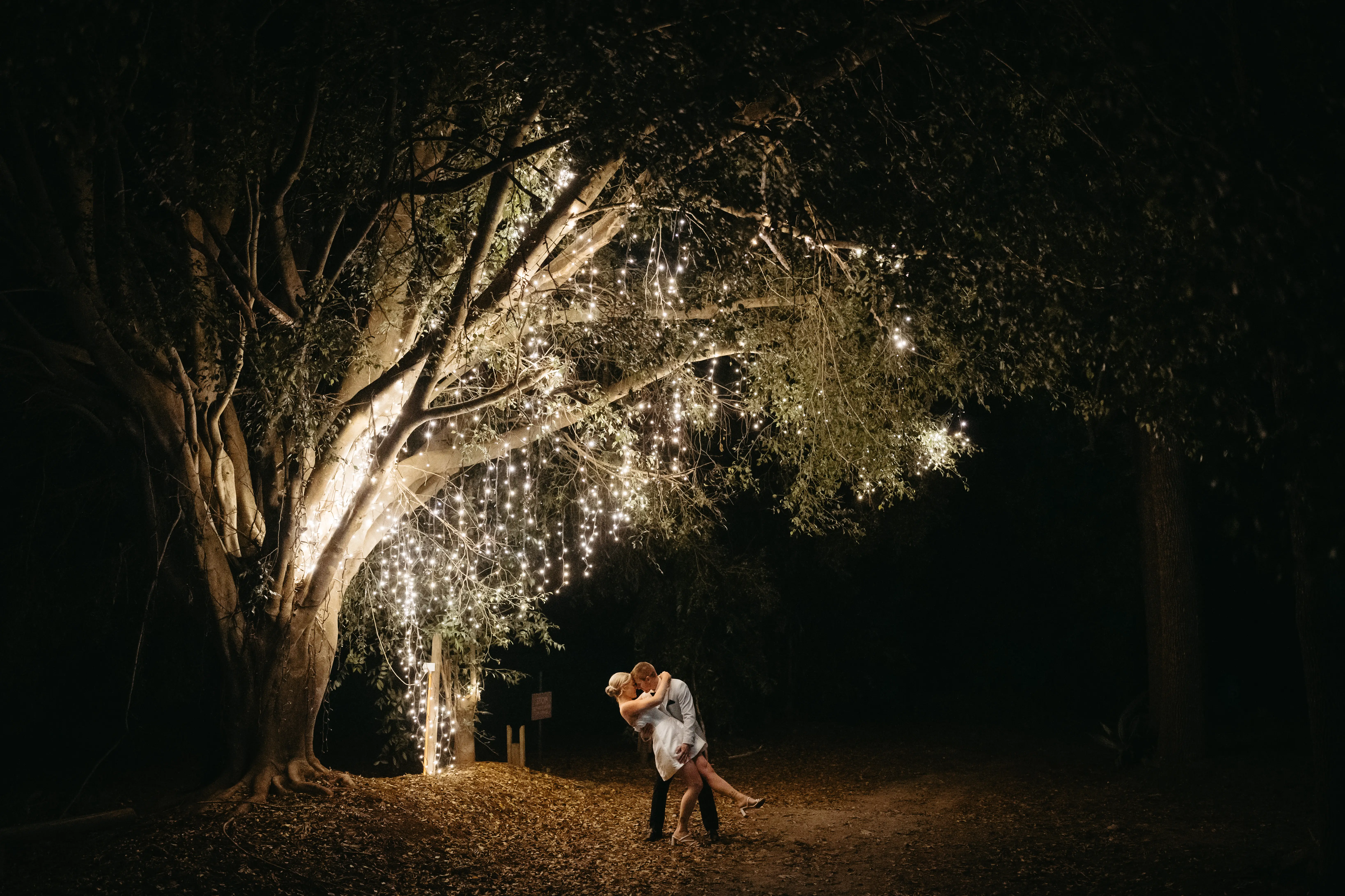 A dip kiss beneath the fairy-lit fig after dark, The Acre Boomerang Hills