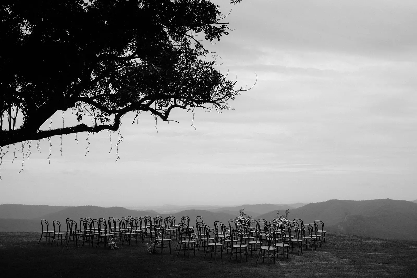 Ceremony chairs set out on the escarpment lawn beneath the old tree, the valley beyond, Rosewood Estate