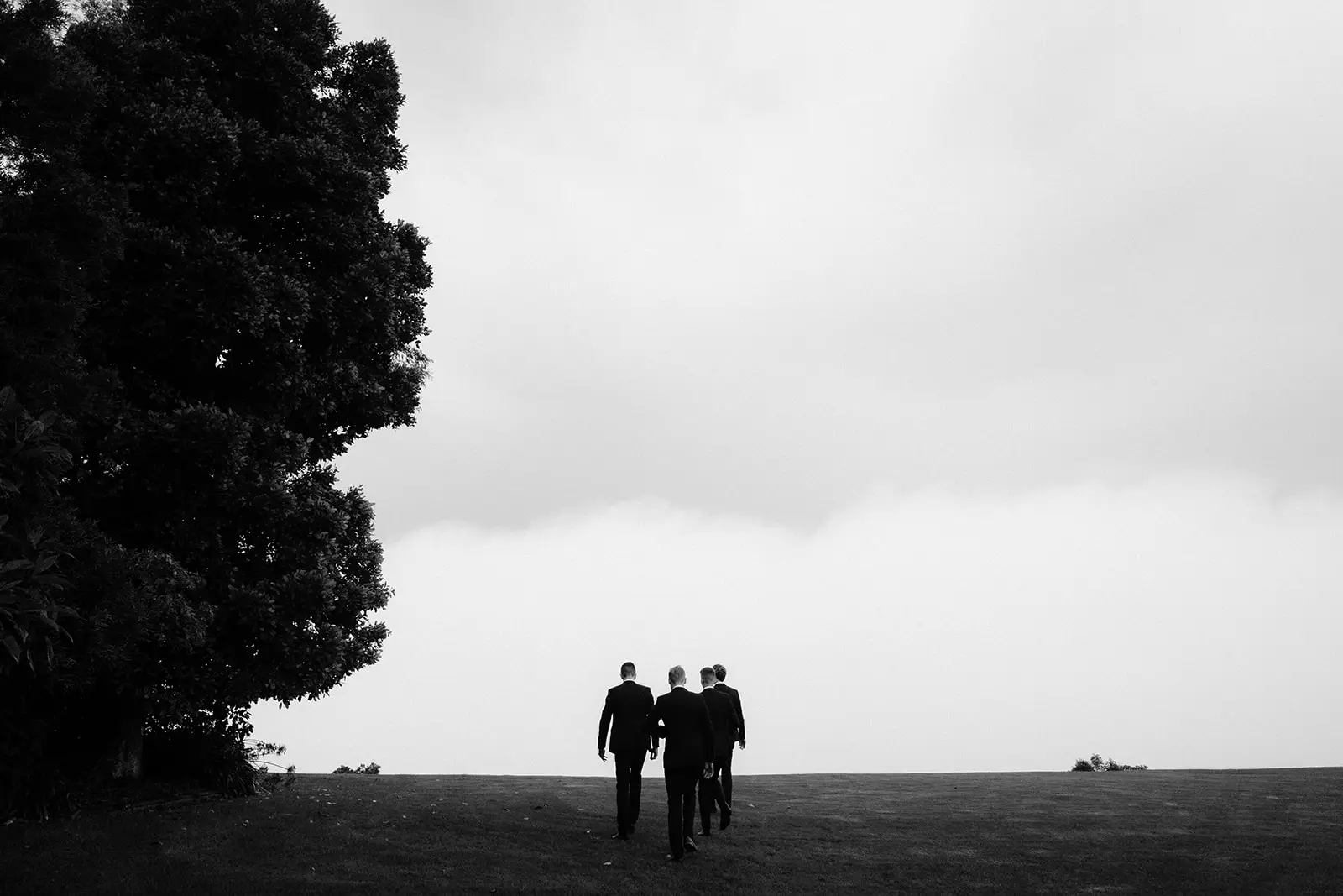 Walking the ridge line as mist comes across the plateau, Rosewood Estate