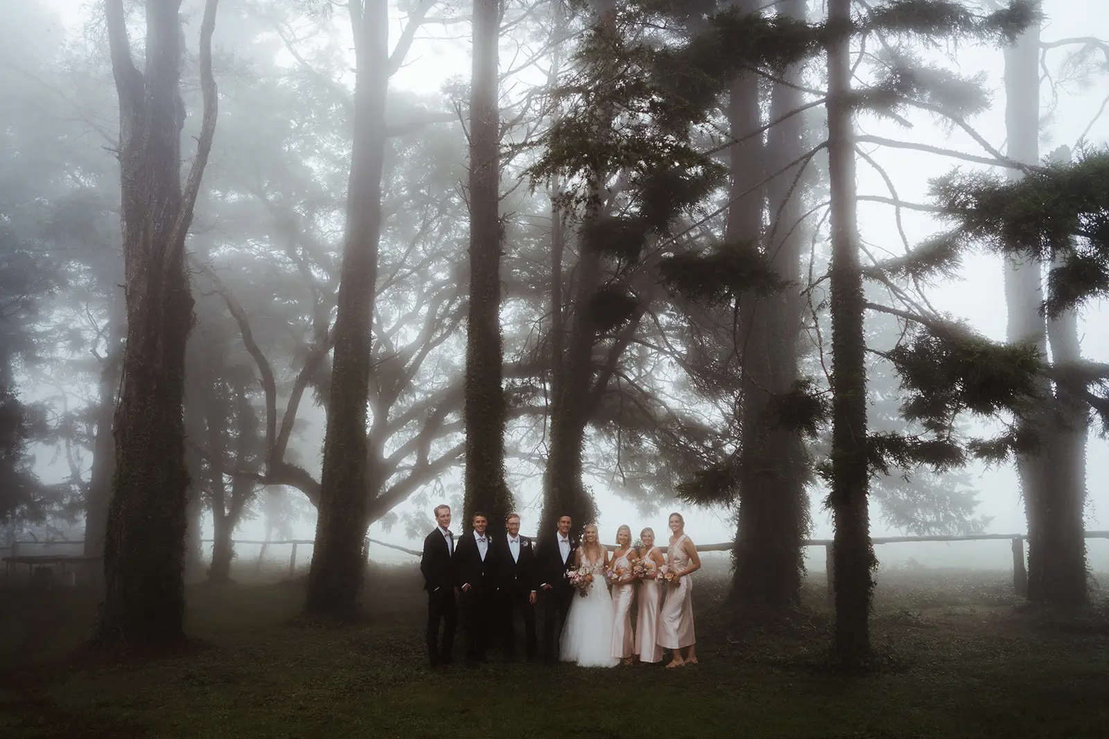 The wedding party among the tall pines in the fog, Rosewood Estate